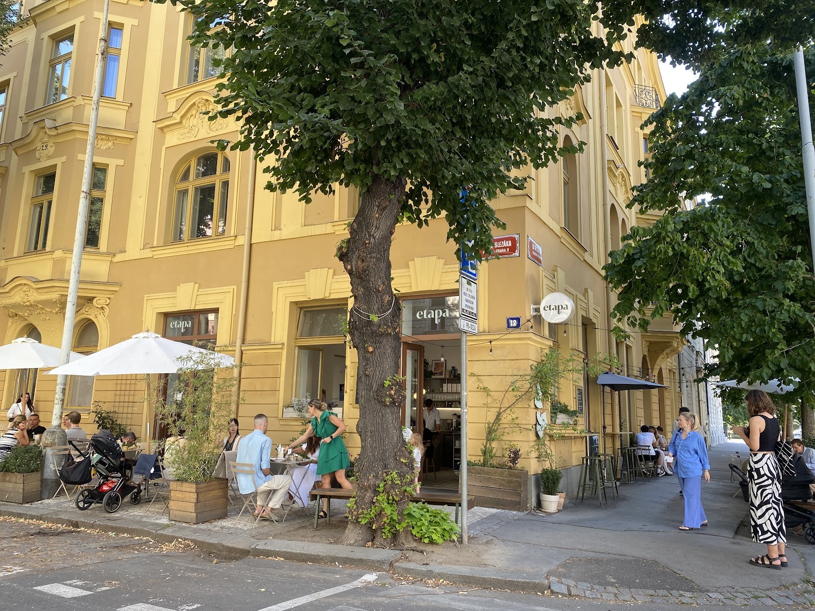Etapa: the place