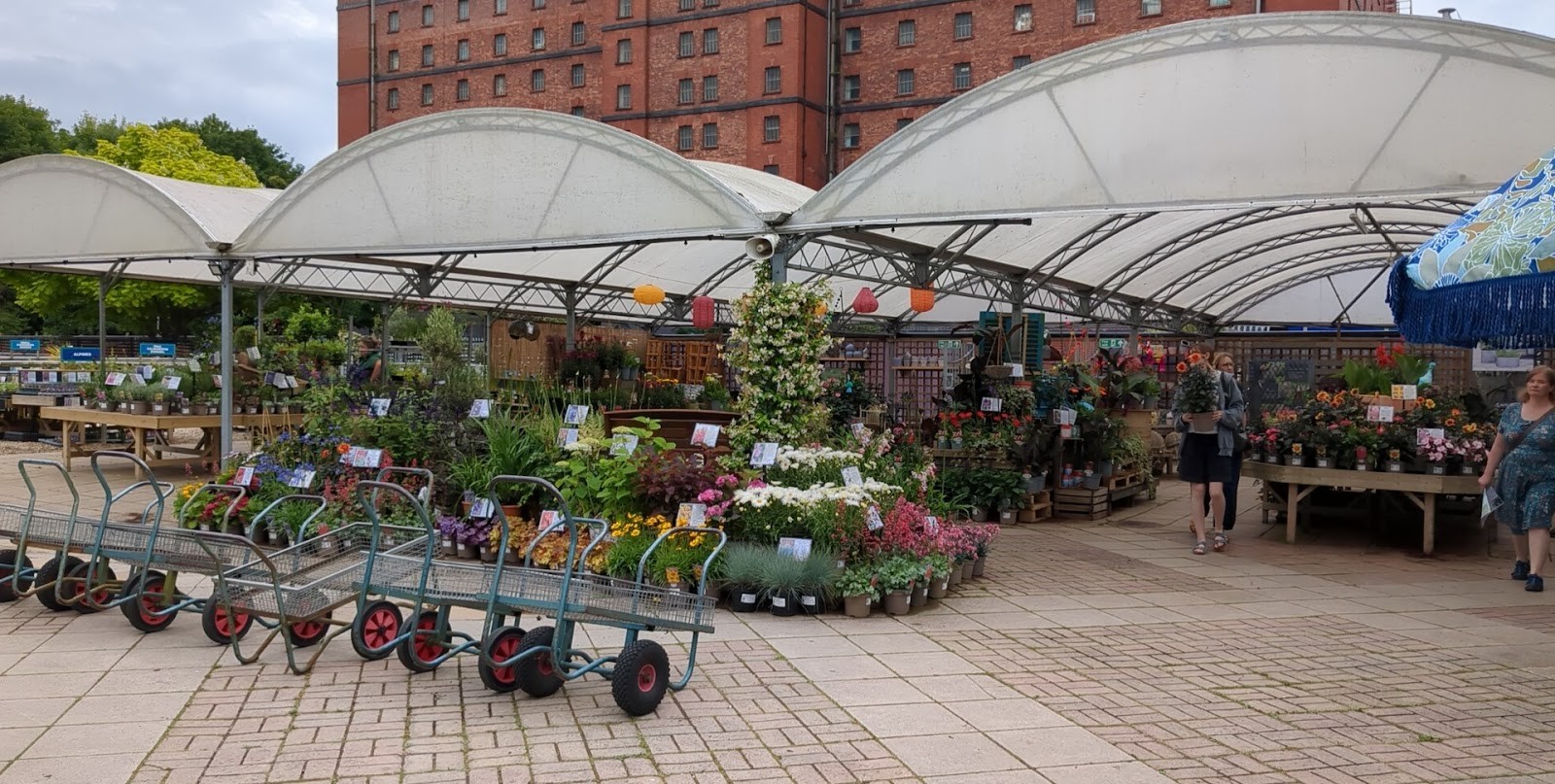 Riverside Garden Centre: the place