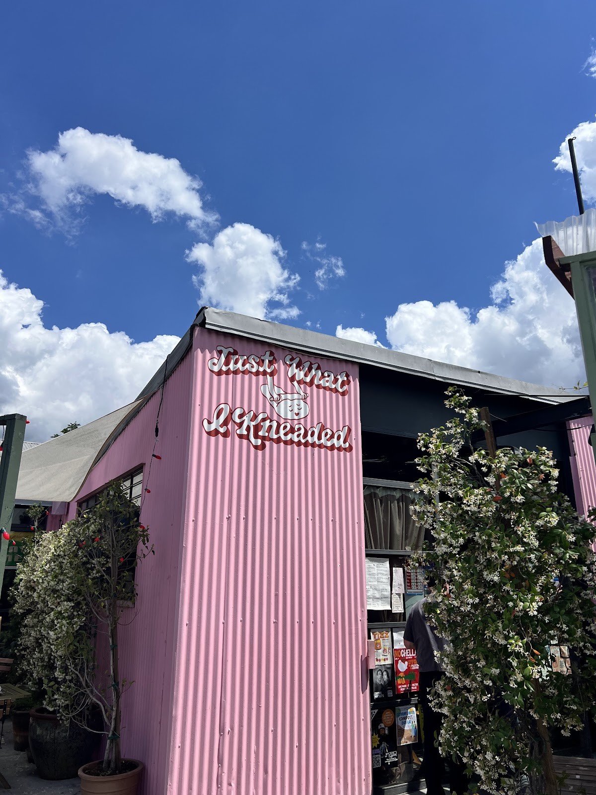 Just What I Kneaded: the place