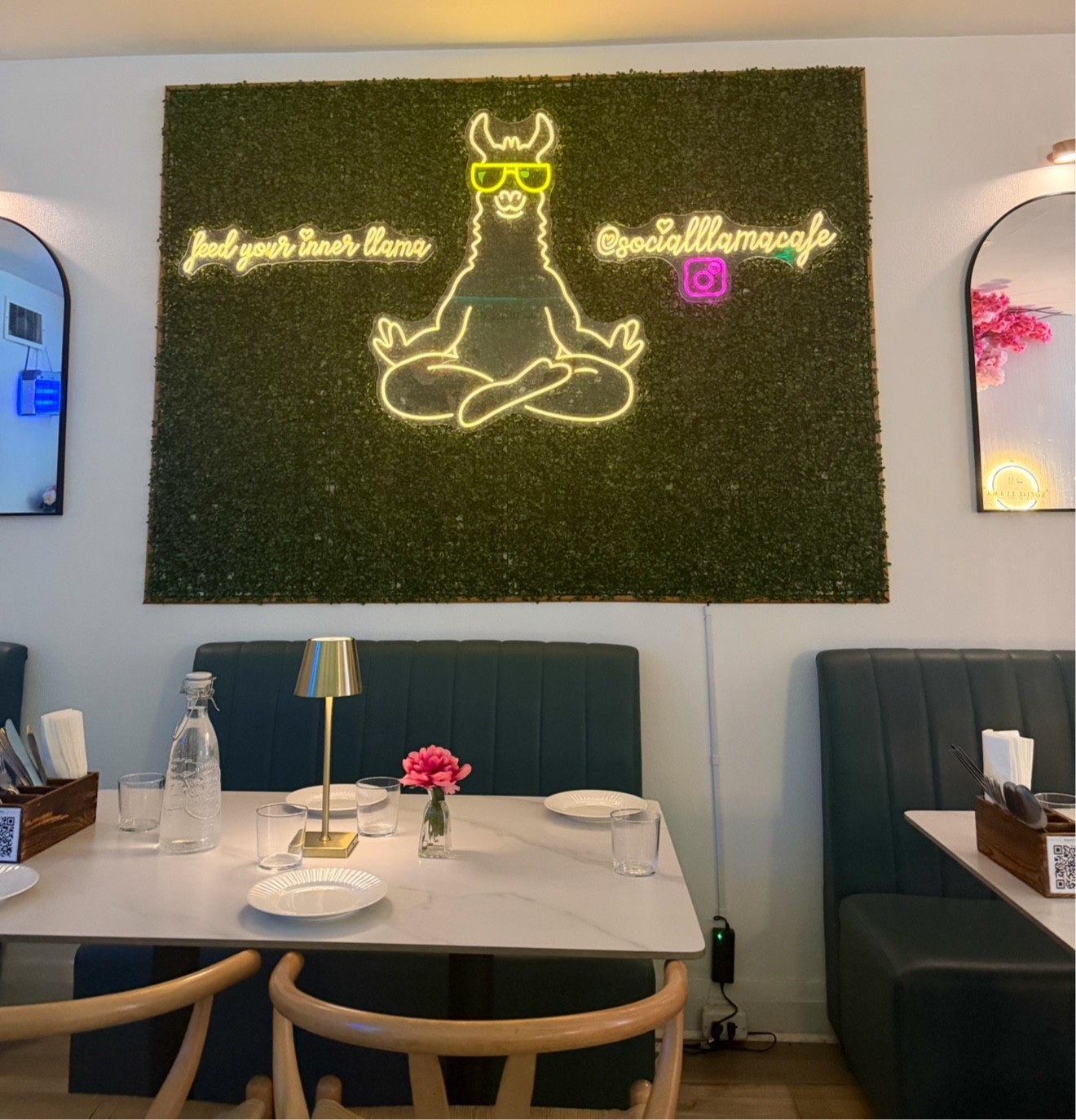 Social Llama Cafe: the place