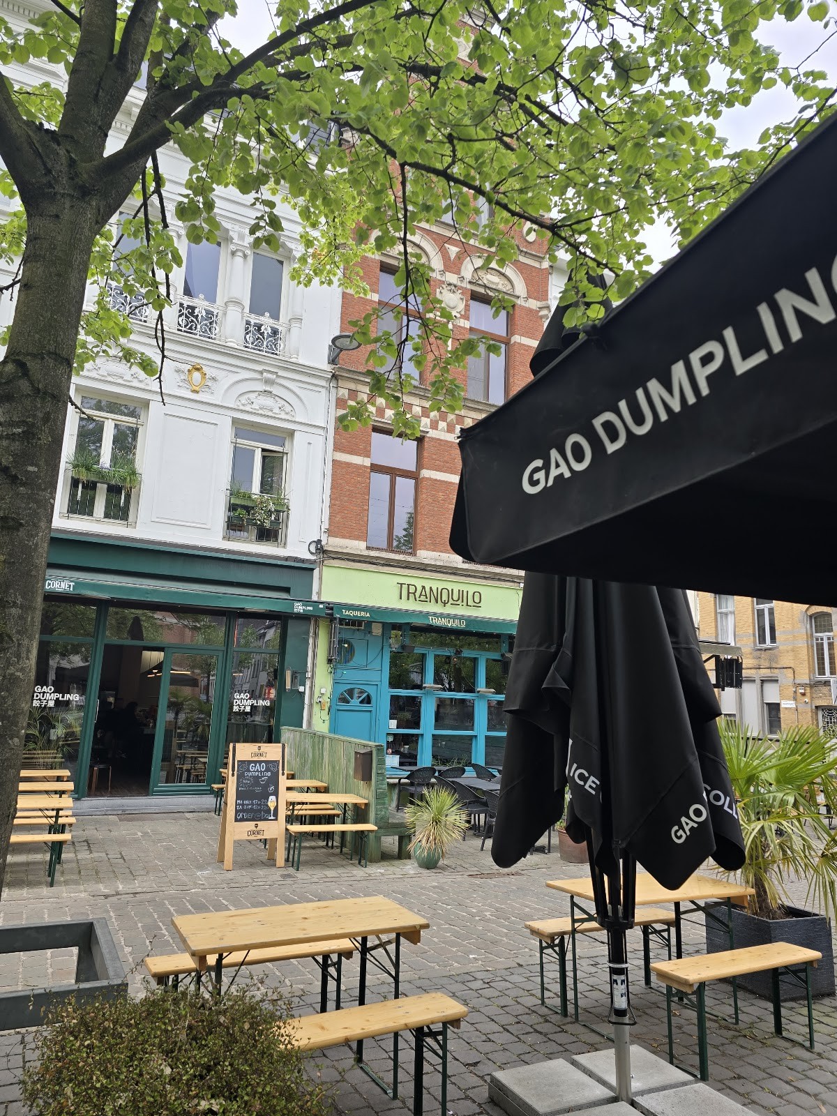 GAO Dumpling: the place