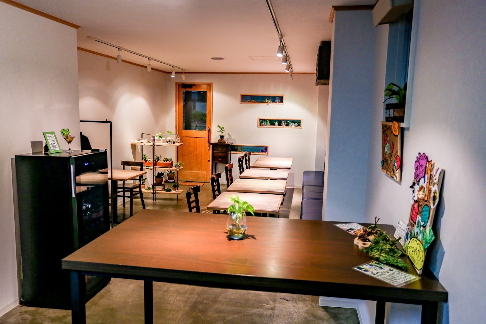 Linio: the place