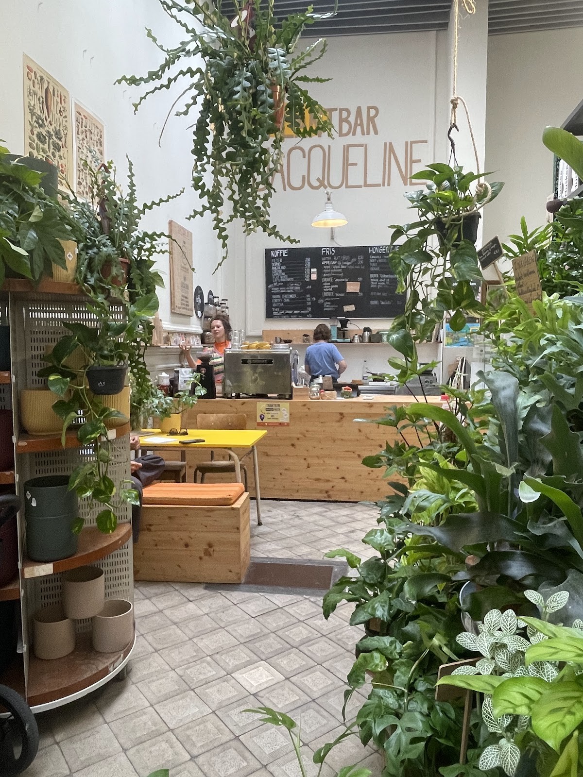 Plantbar Jacqueline: the place