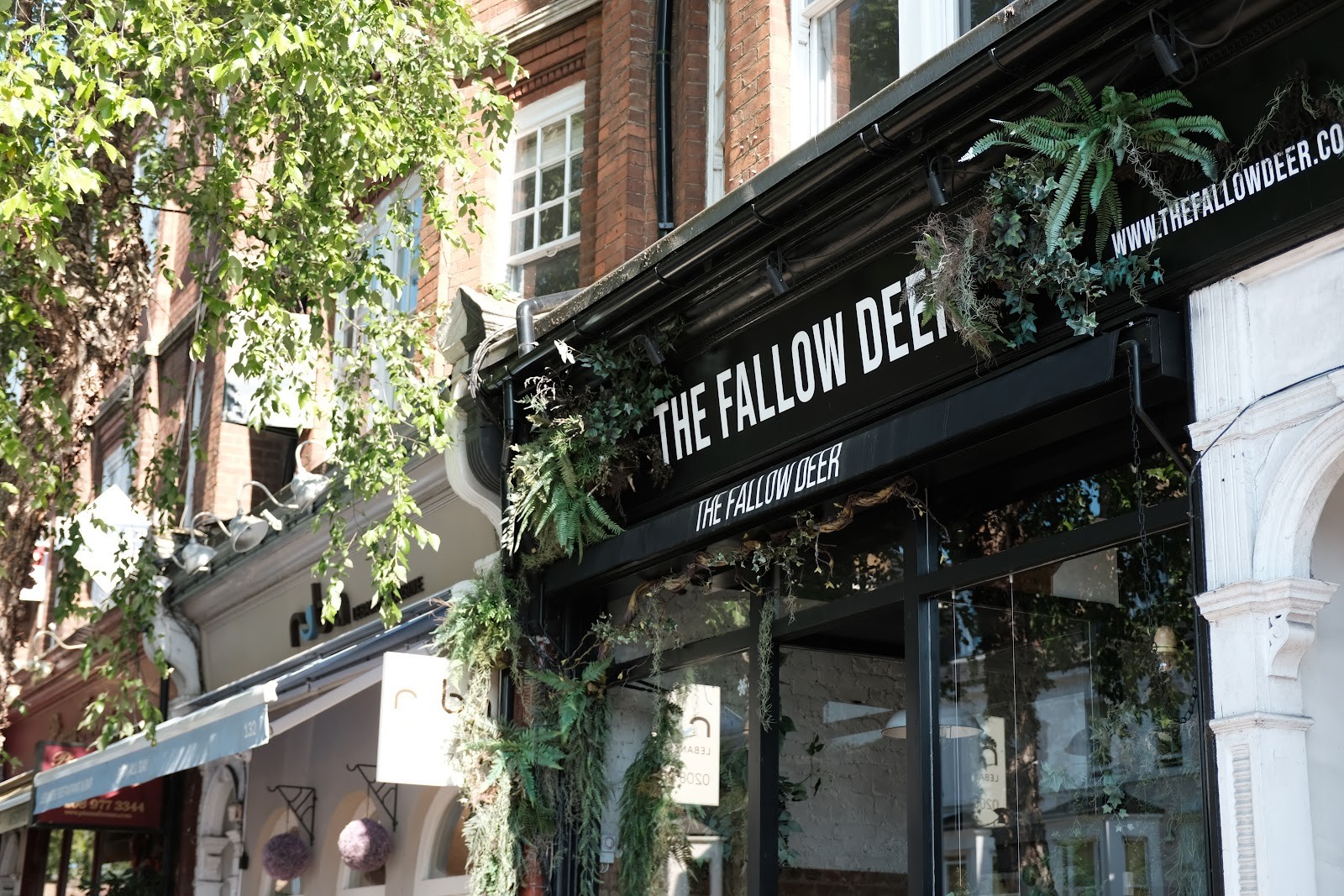 The Fallow Deer: the place