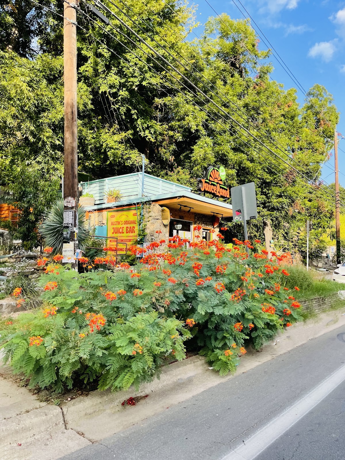 JuiceLand: the place