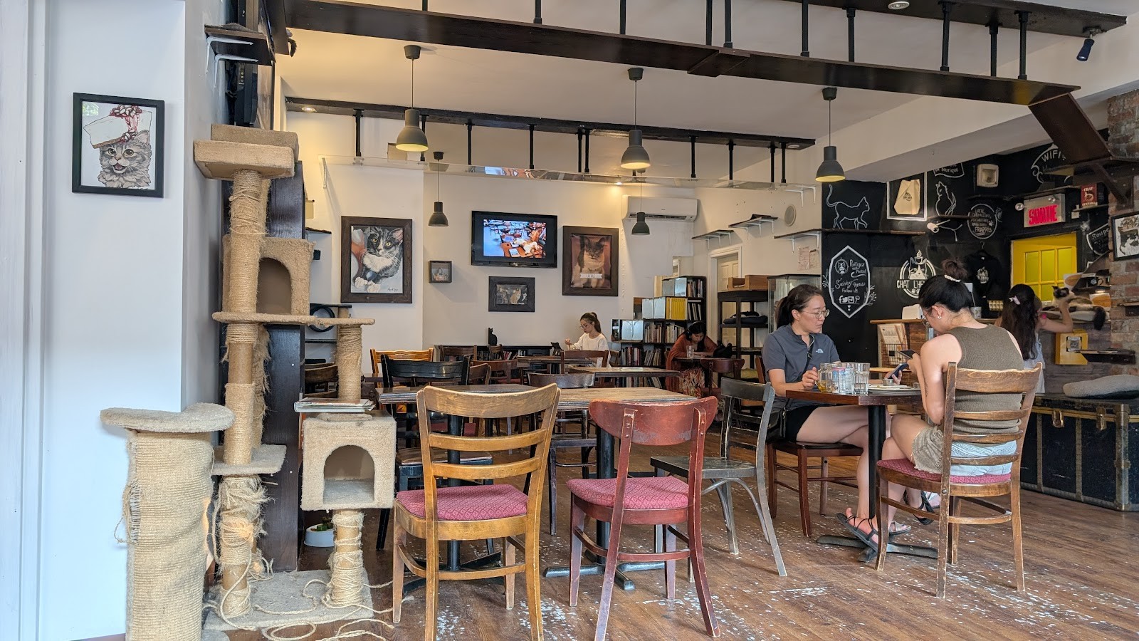 Happy Cat Cafe: the place