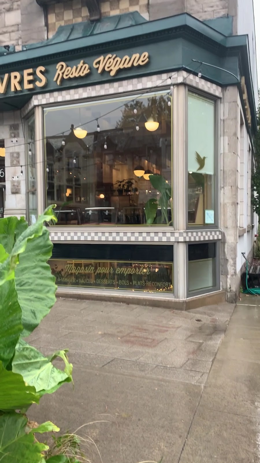 Aux Vivres Westmount: the place