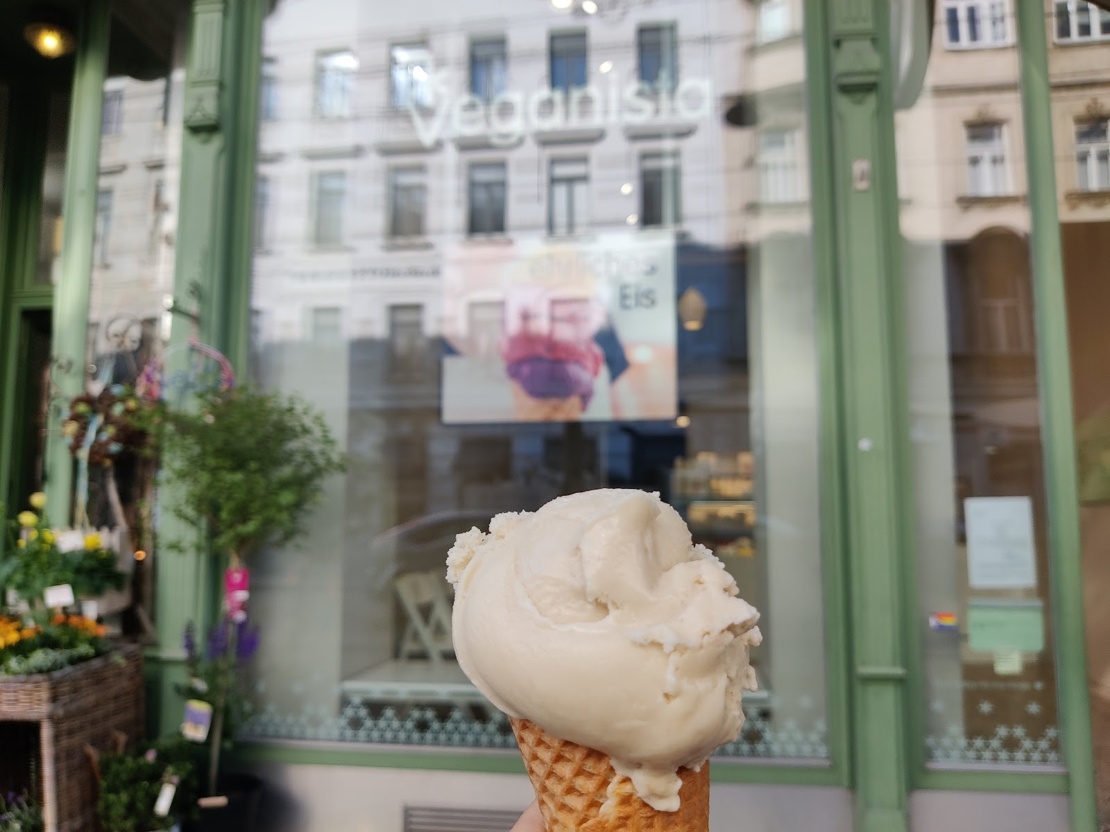 Veganista Ice Cream: food & drinks