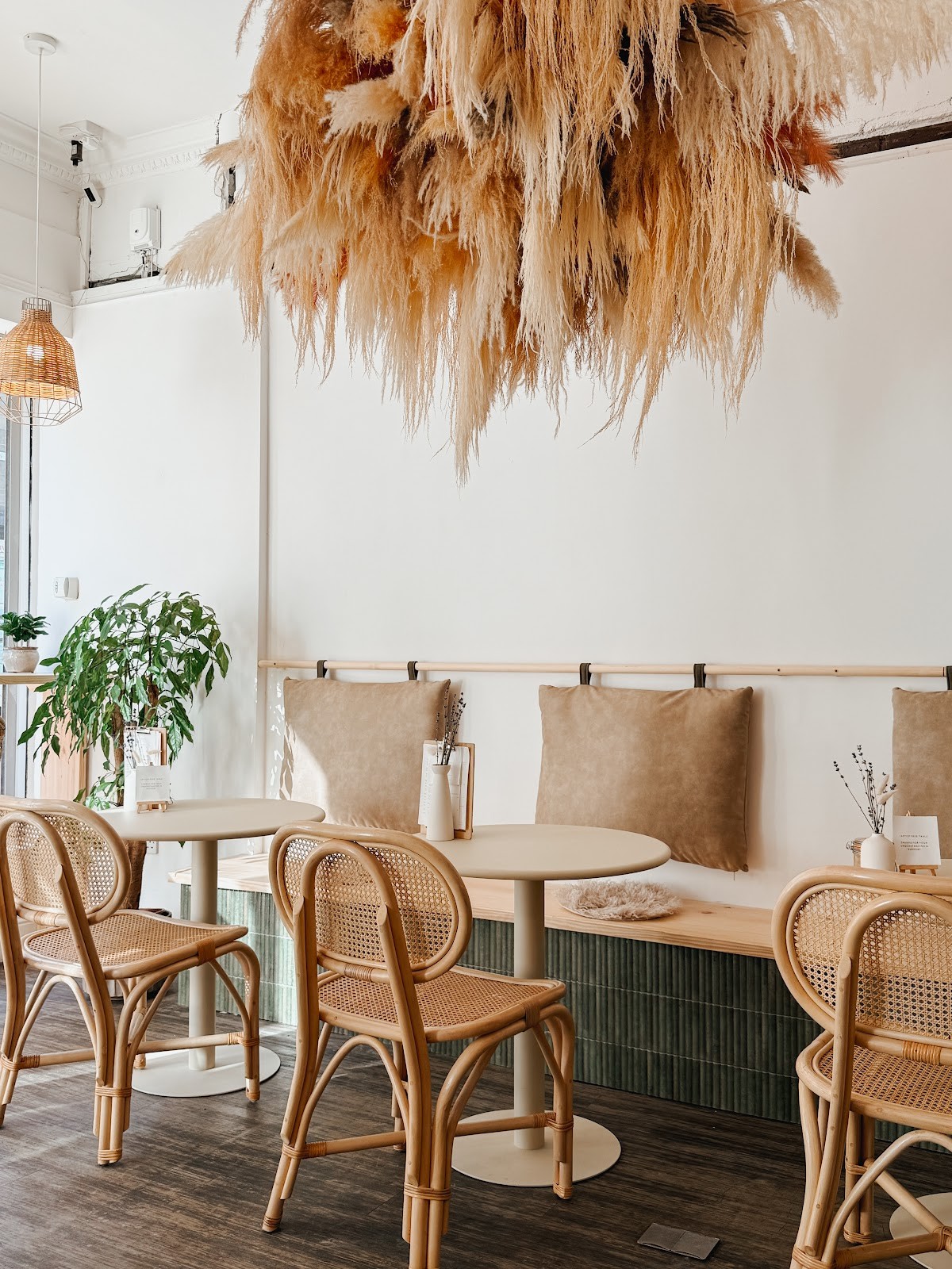 Disposition: the place