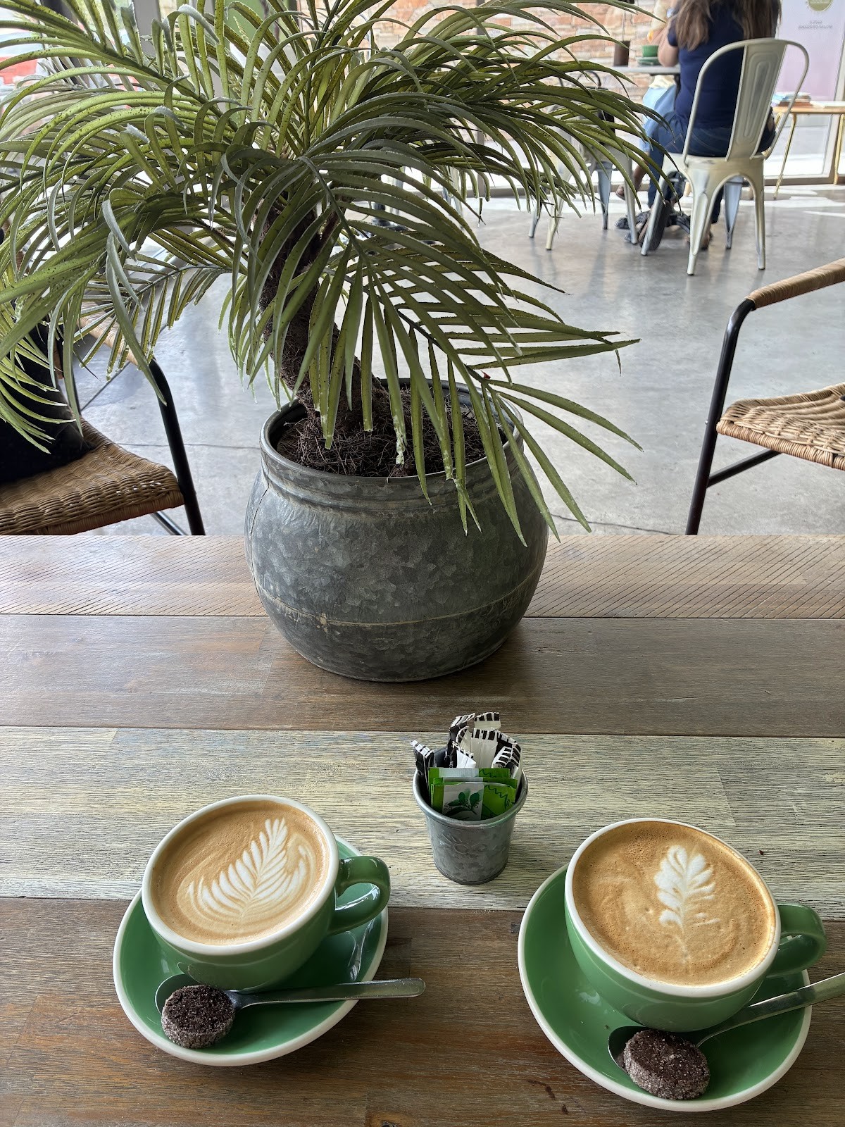 The Lime Tree Cafe & Kitchen - Al Qudra: the place
