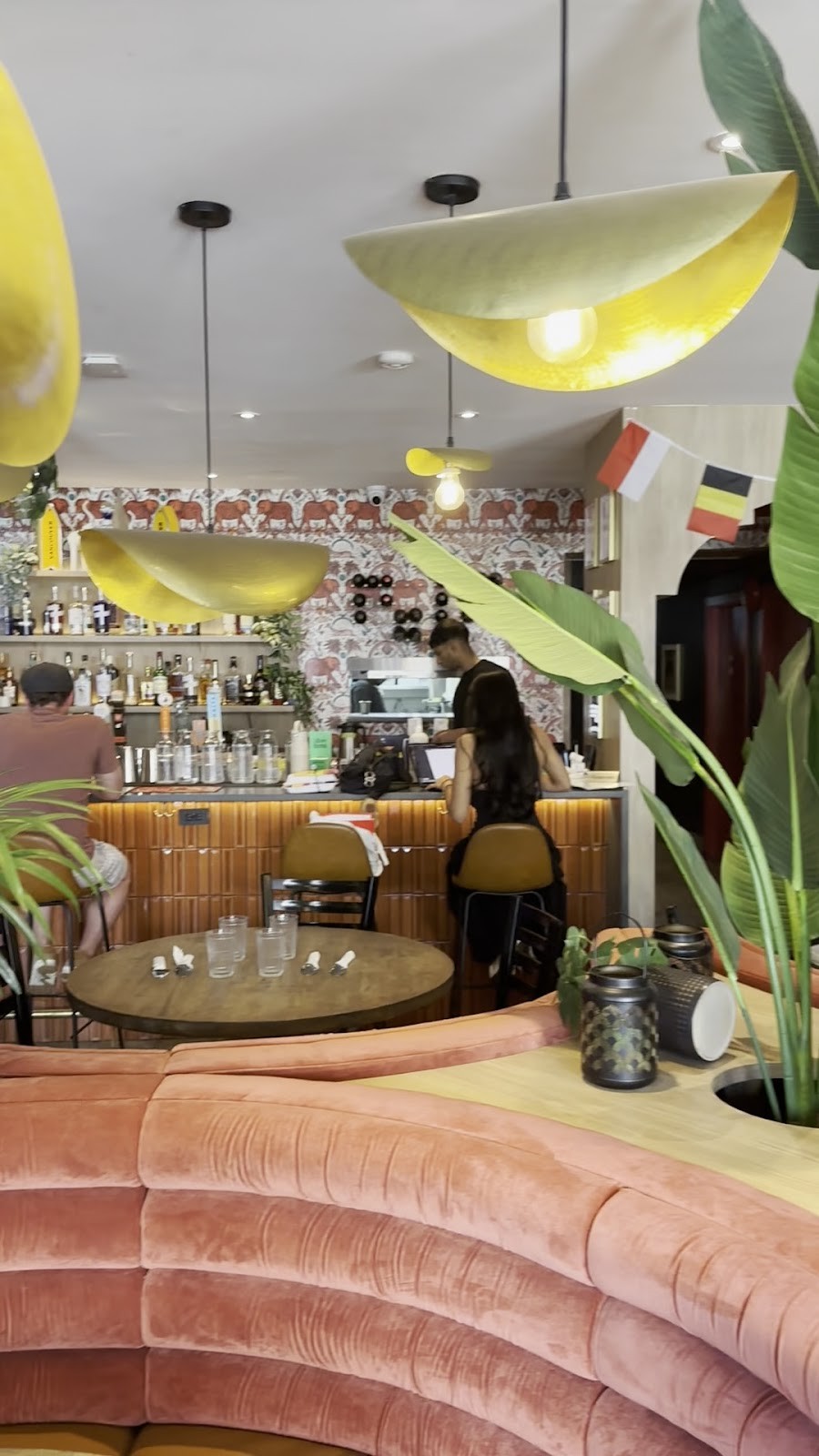 House of Dosas | Davie St: the place