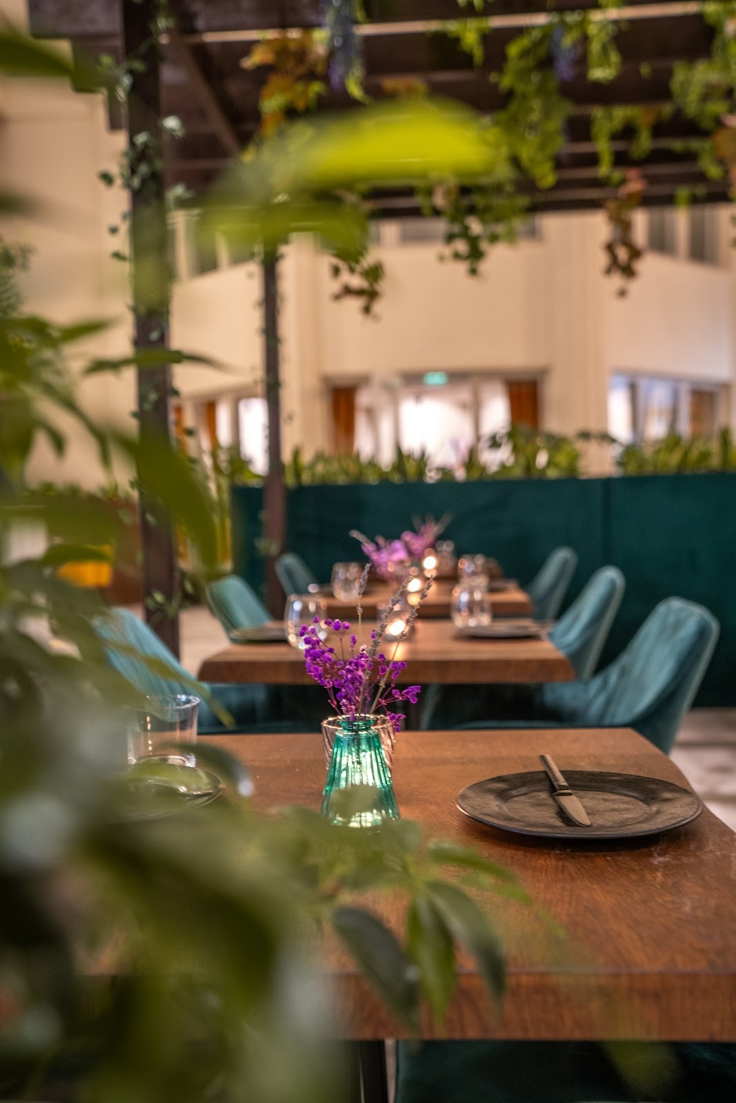 Gastro Hub: the place