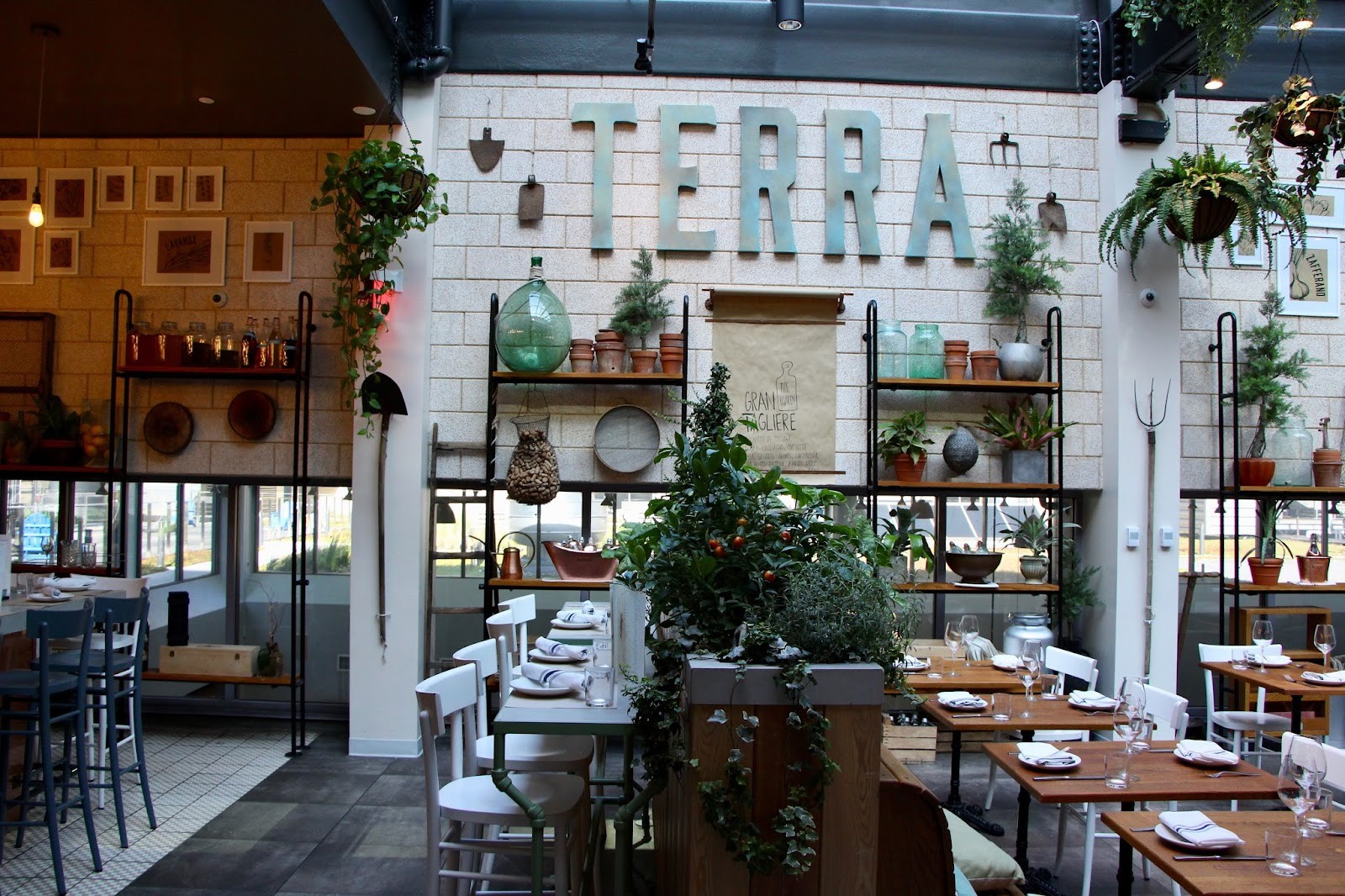 Terra at Eataly: the place