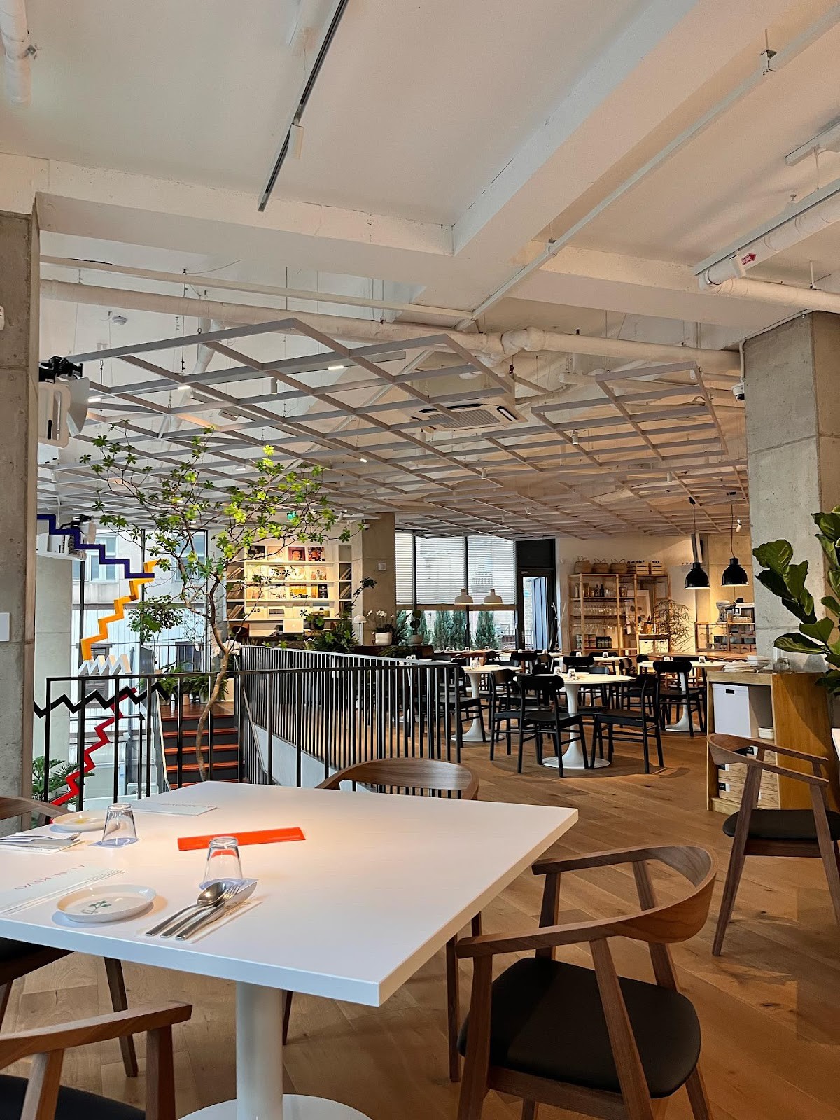 알 누오보 (AL NUOVO): the place