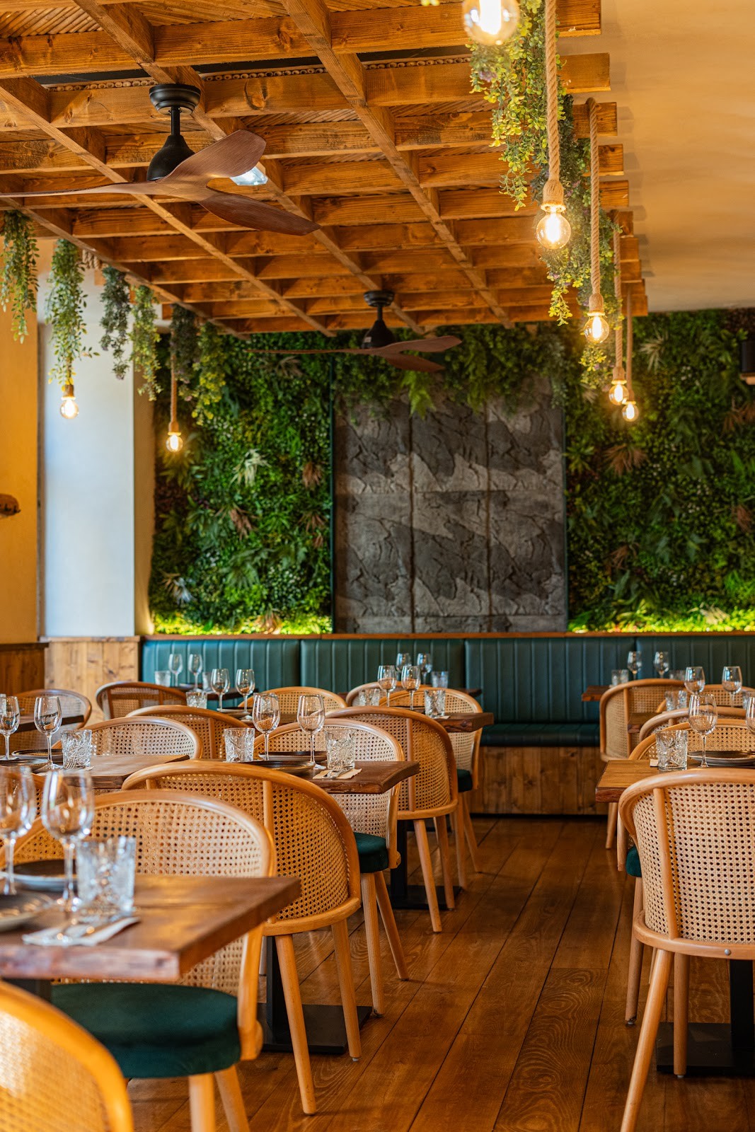 Kong - Food Made With Compassion: the place
