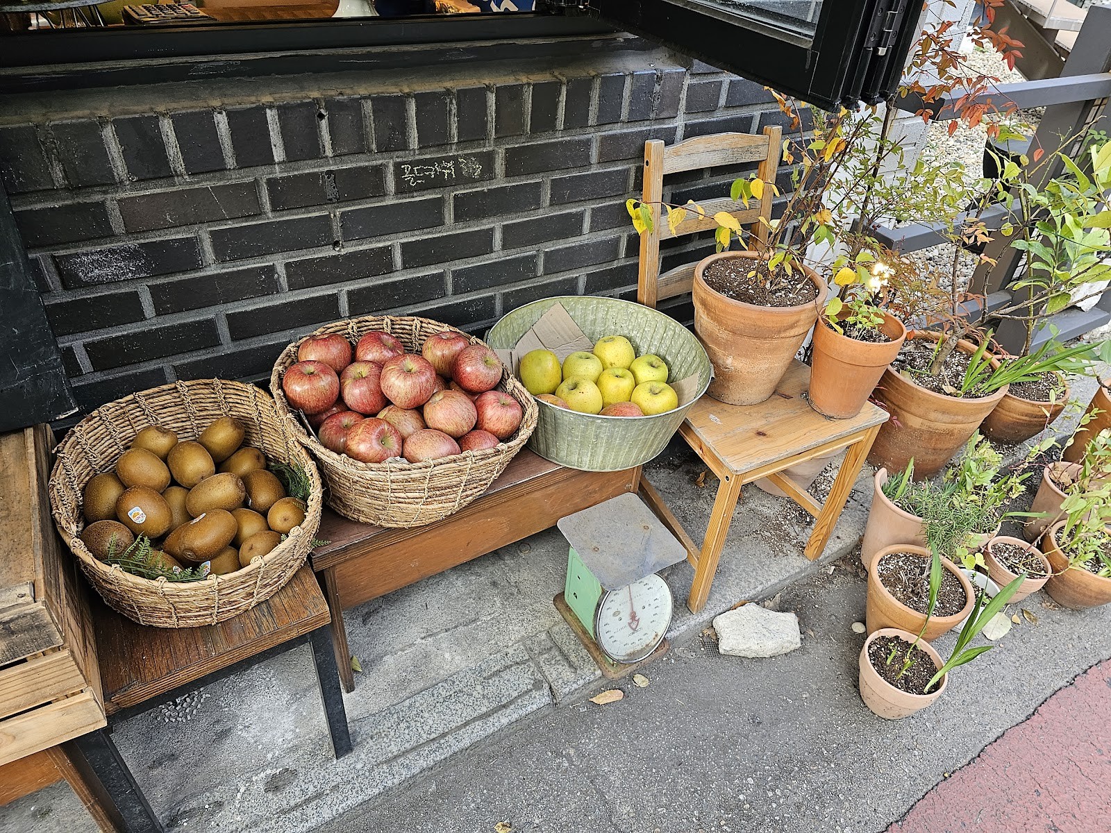 Ilgua Eat Fresh: the place