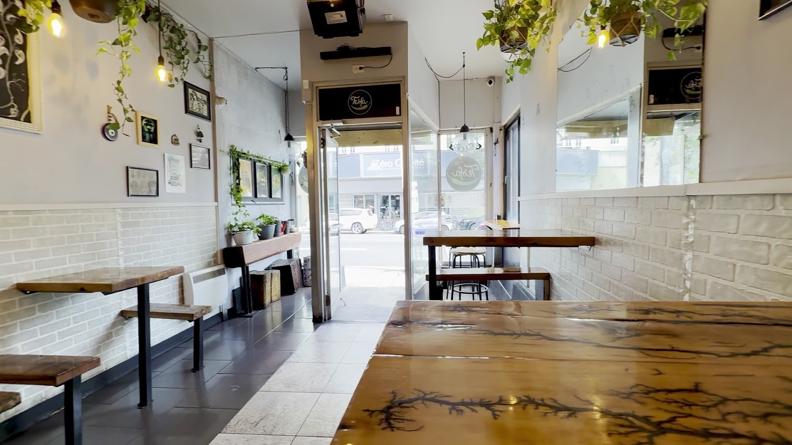 TESFA: the place
