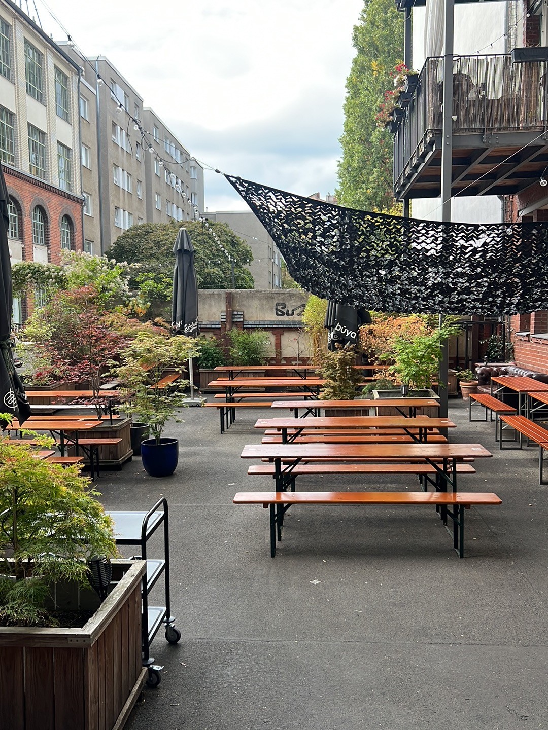 Buya Izakaya Ramen: the place