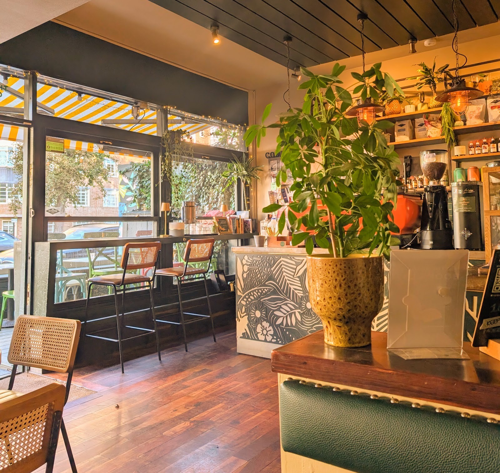 The Botanist Coffee Co.: the place