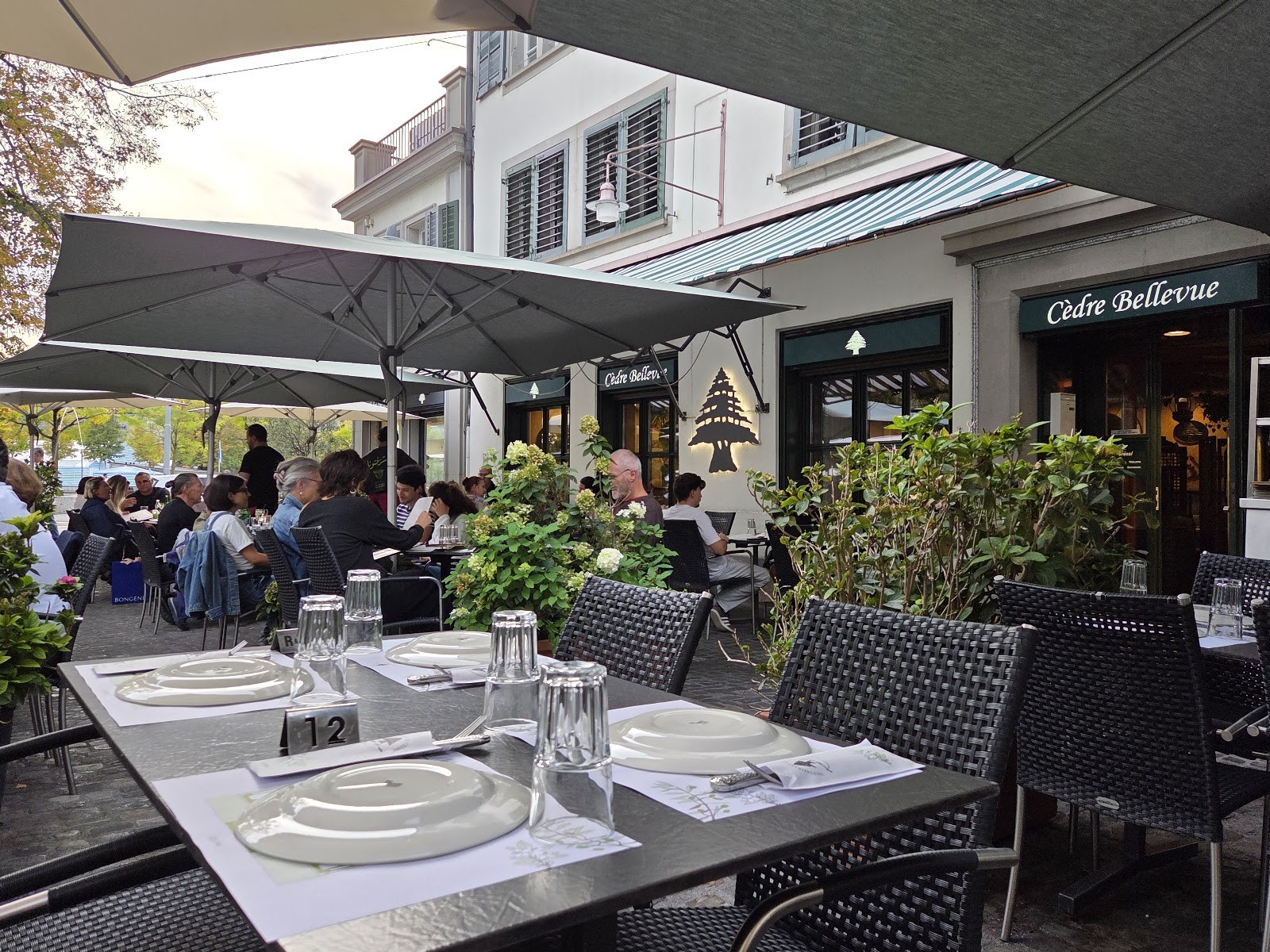 Le Cèdre Bellevue: the place
