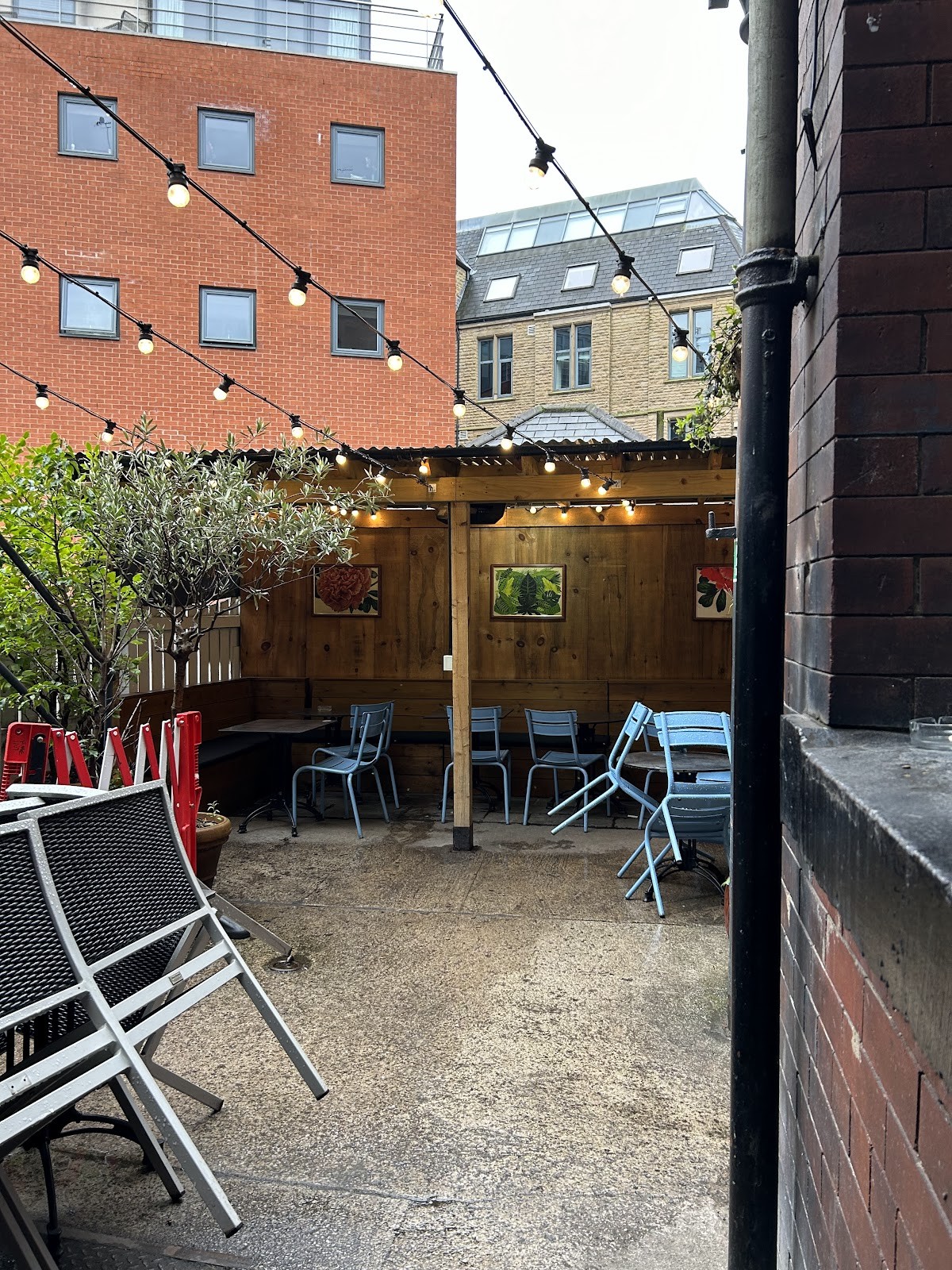 The Adelphi: the place