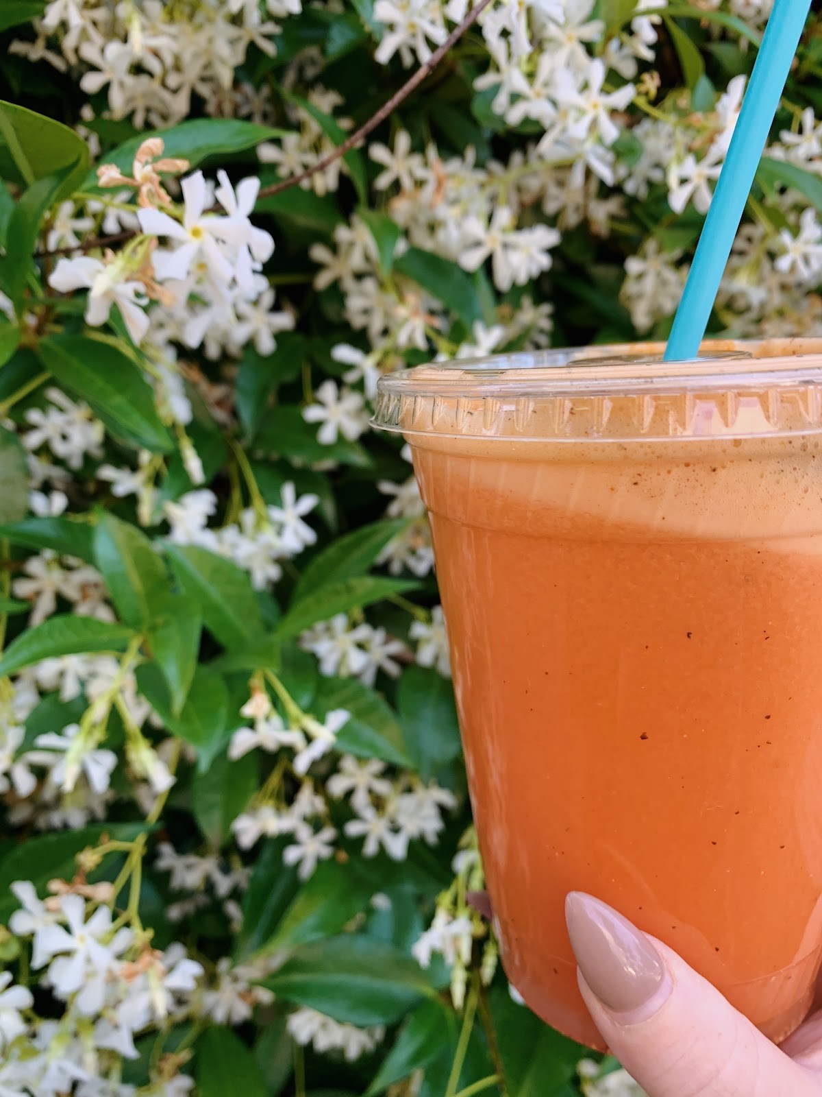 Happy Day! - Juice, Smoothie, Acai: food & drinks