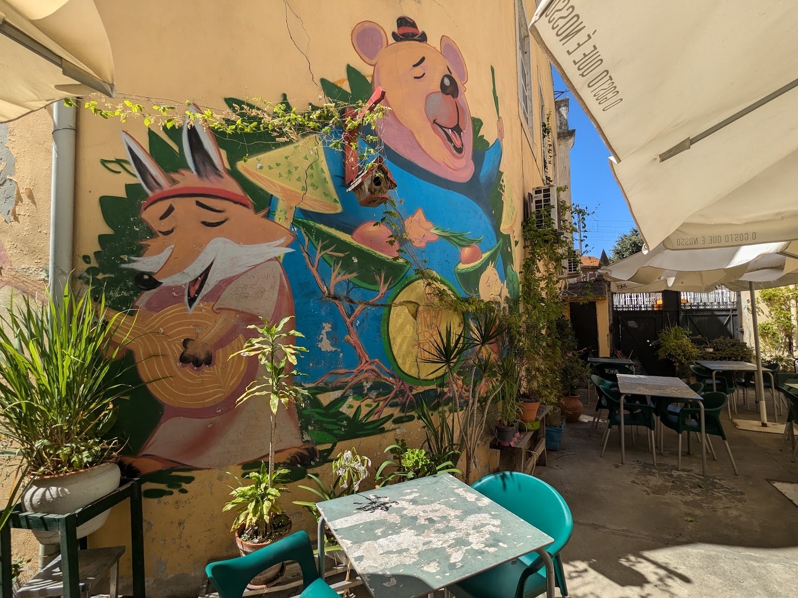 Tribo da Terra: the place