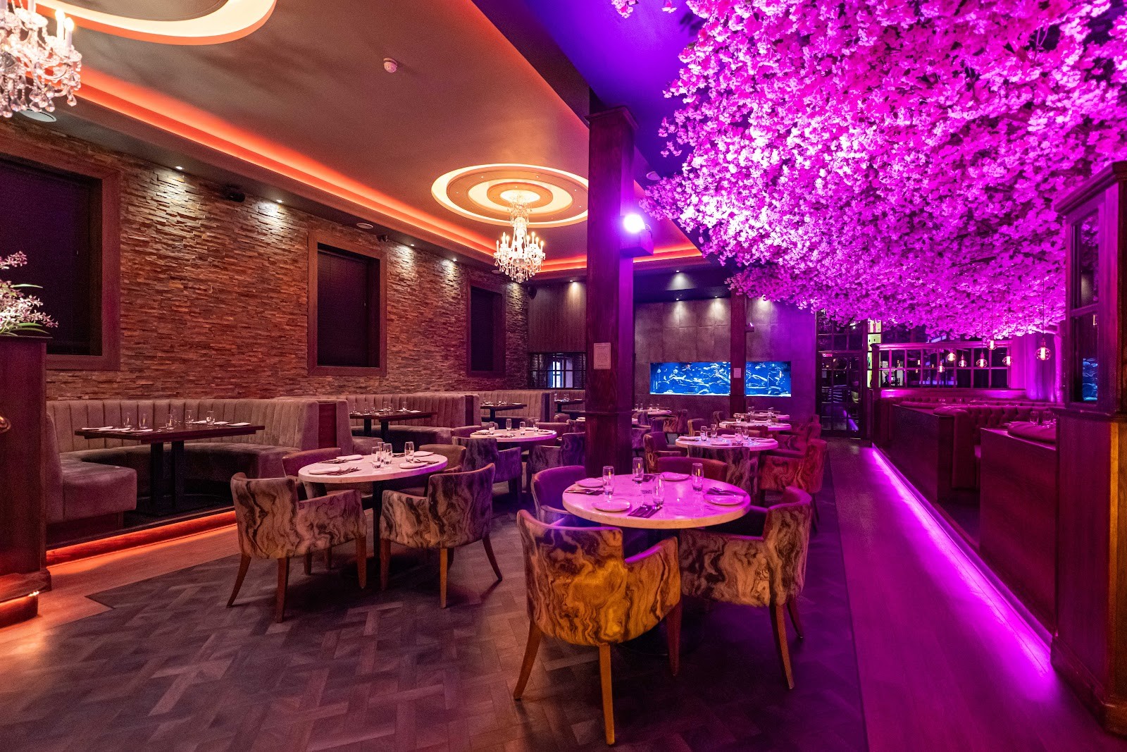 Akshaya - The Picture Drome: the place