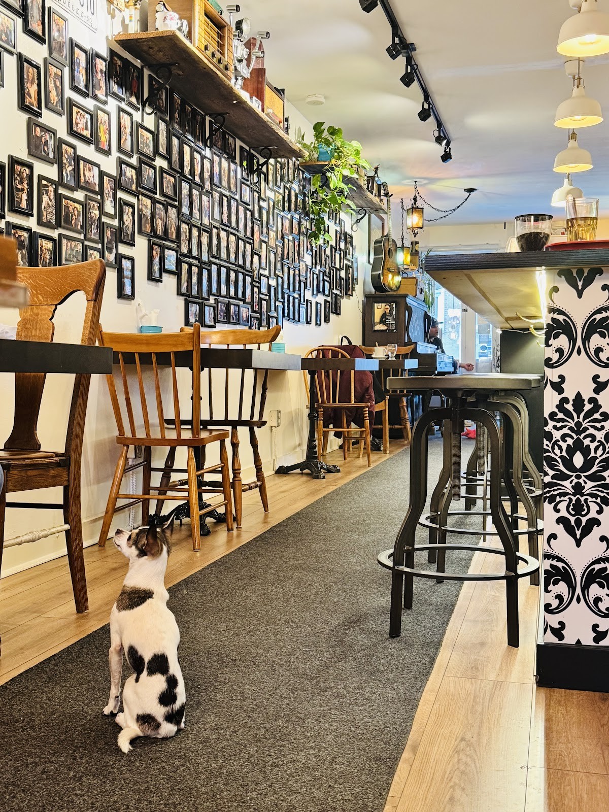 Café Alice: the place
