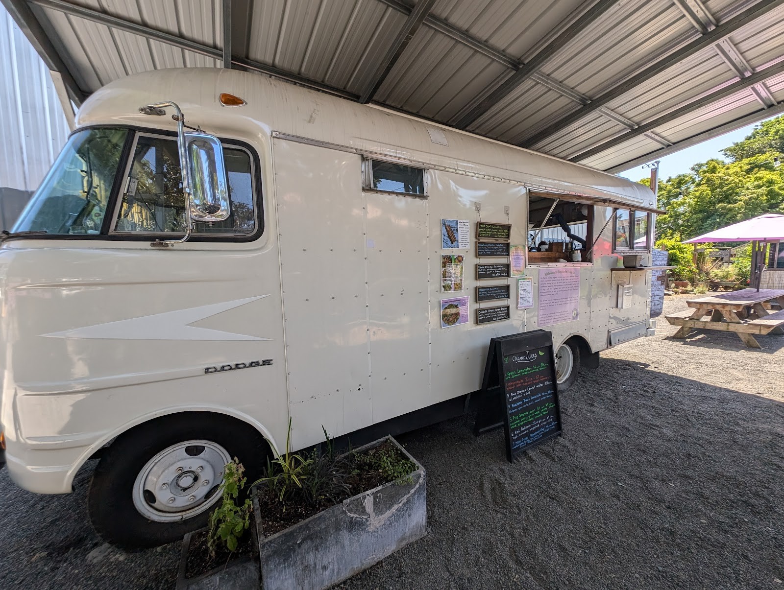 Euphoria Food Co: the place