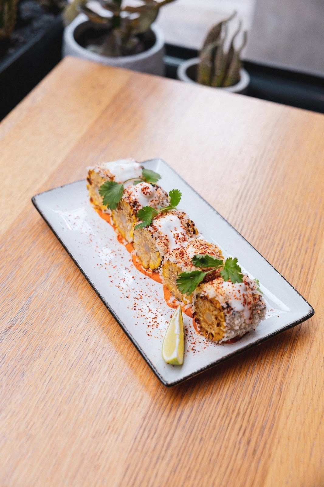 Sentir Vegan Mexican Restaurant: food & drinks