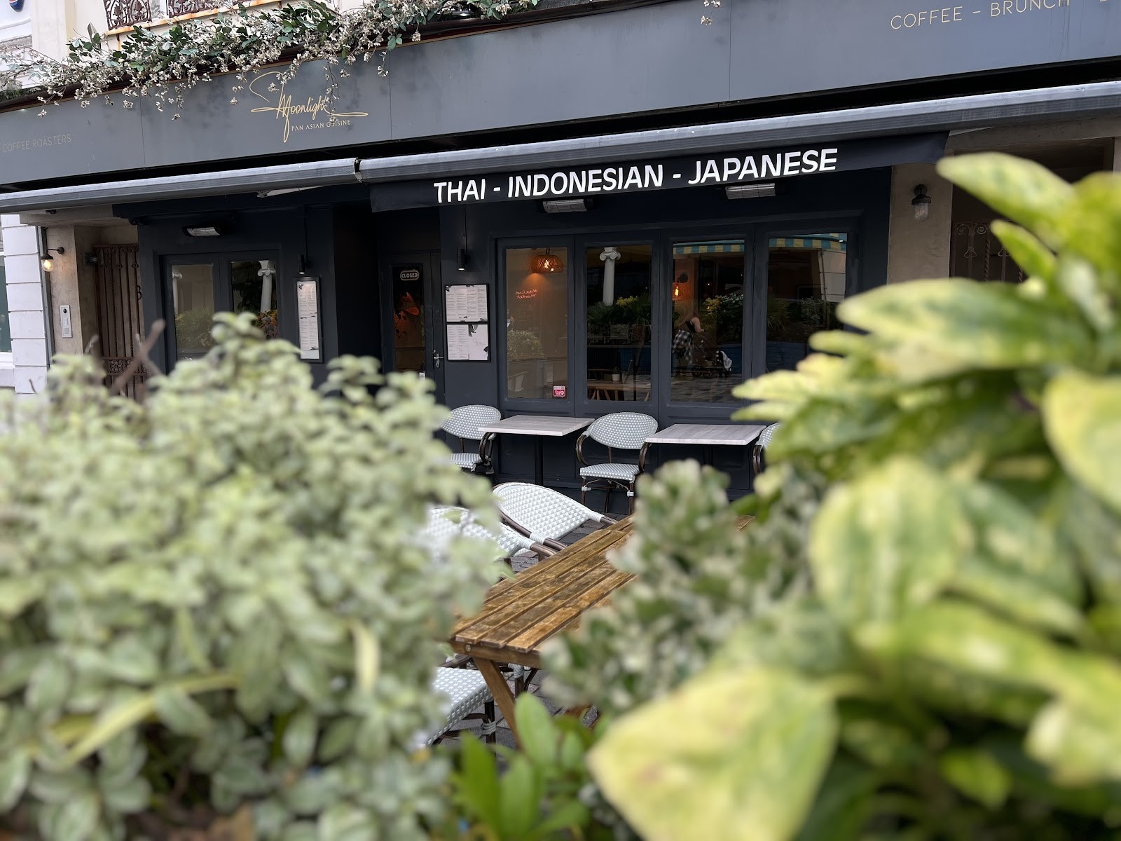 MOONLIGHT Pan Asian Cuisine: the place