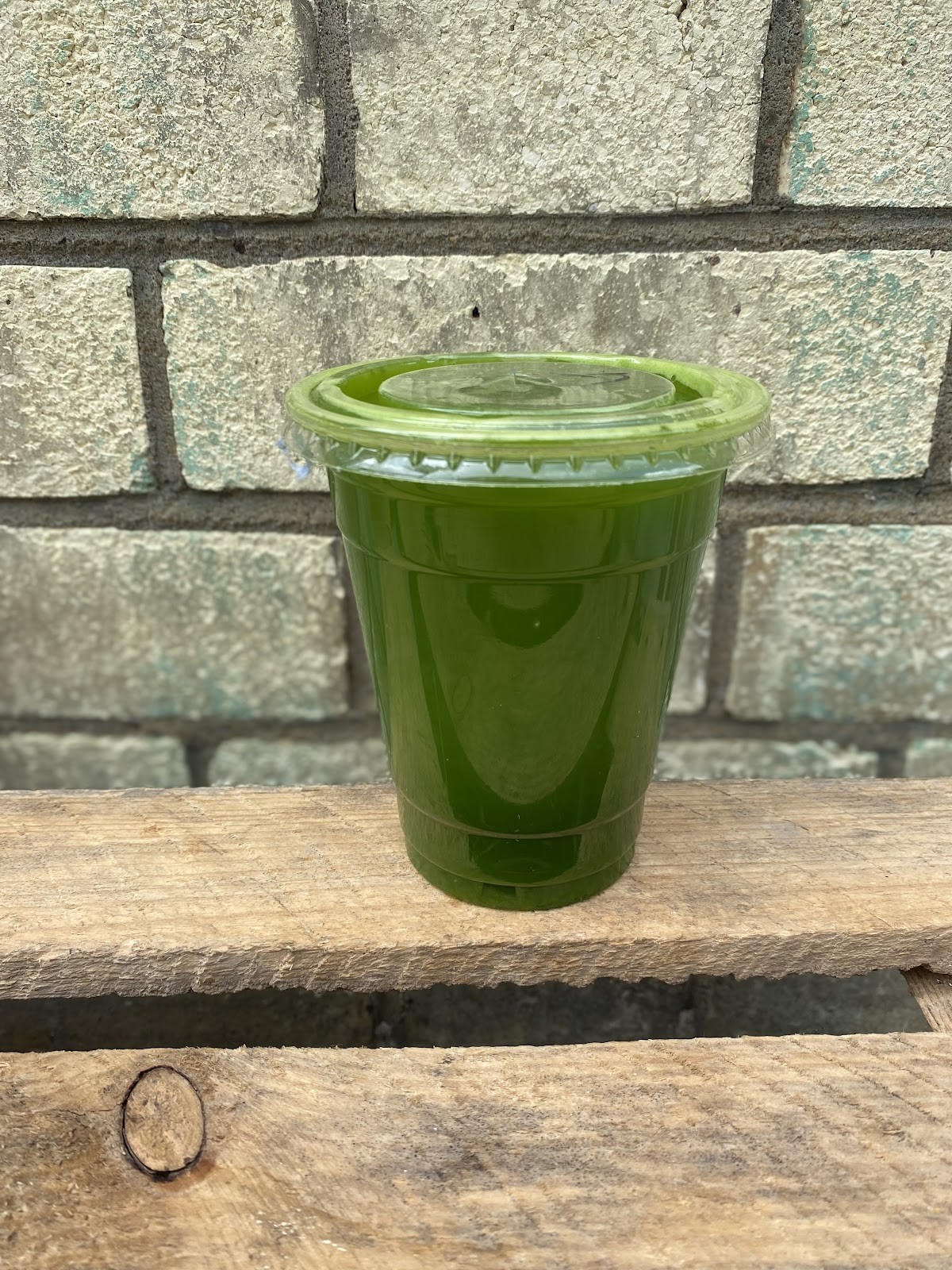 Alkaline Juice Factory: food & drinks