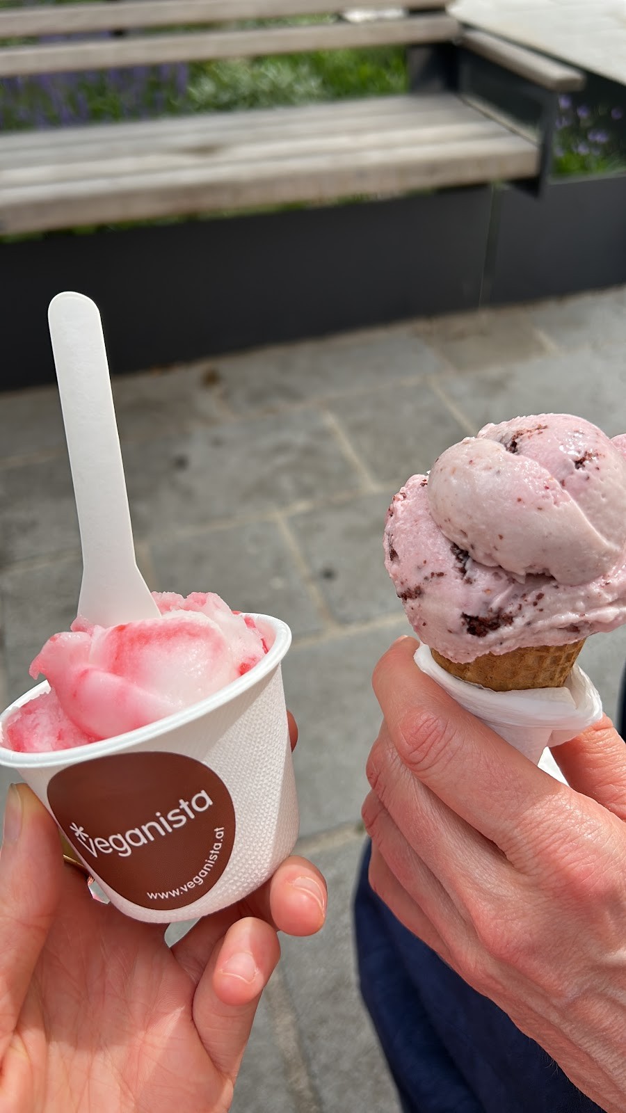 Veganista Ice Cream: food & drinks