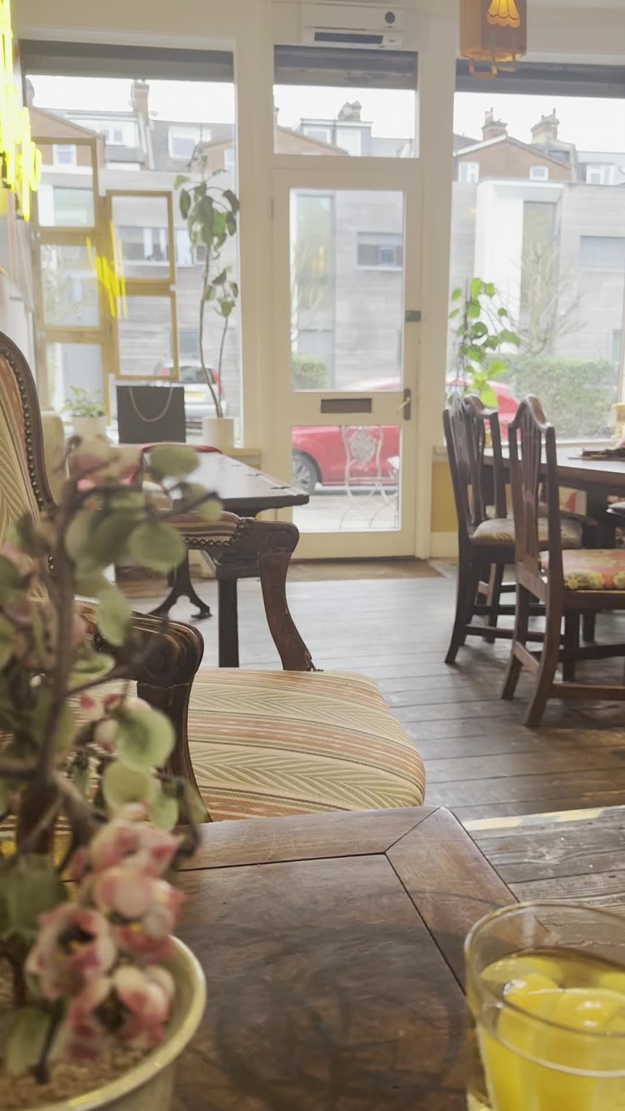 Curled Leaf: the place