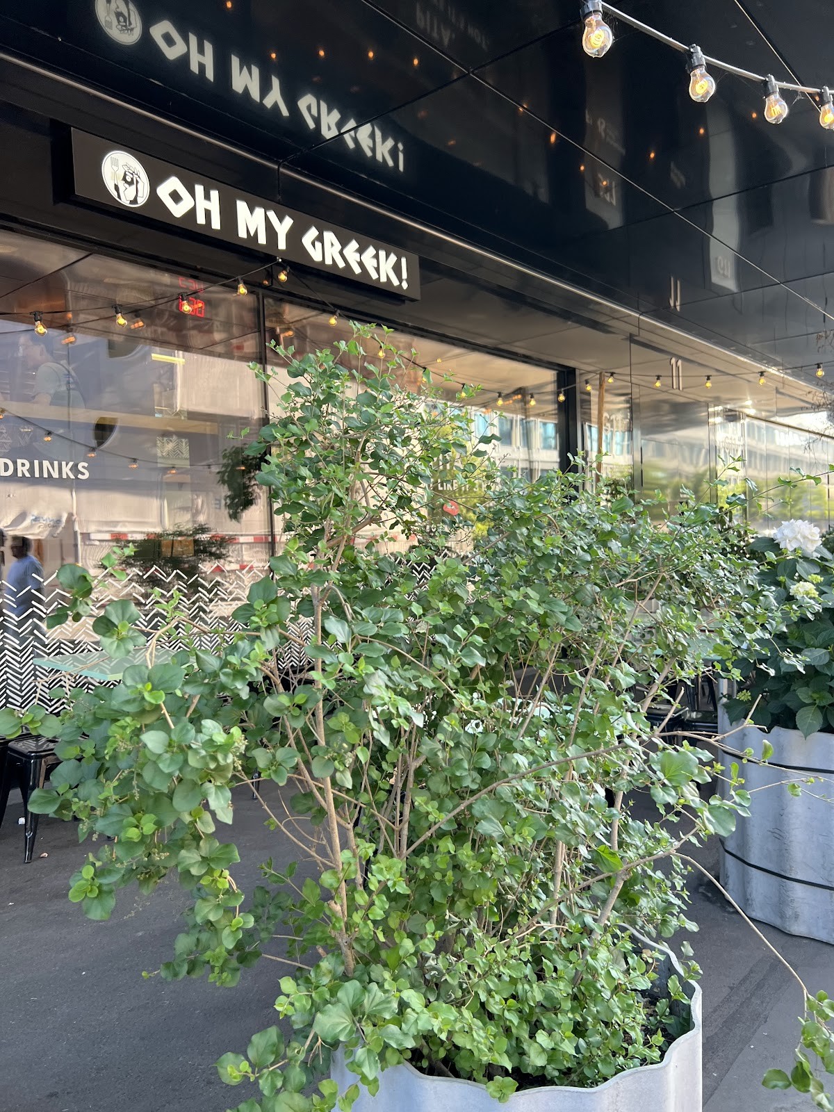 OH MY GREEK! Zürich HB: the place