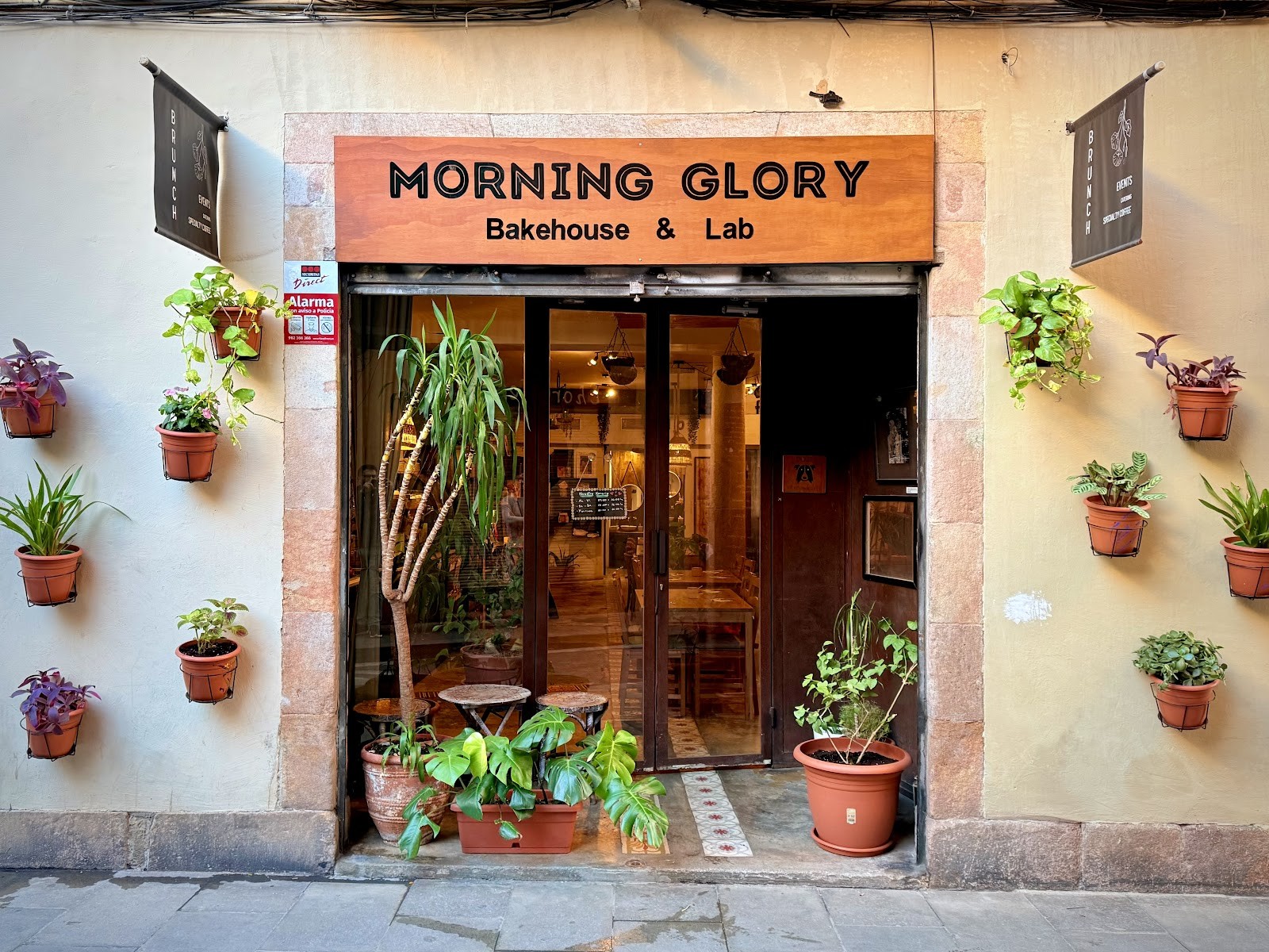 Morning Glory: the place