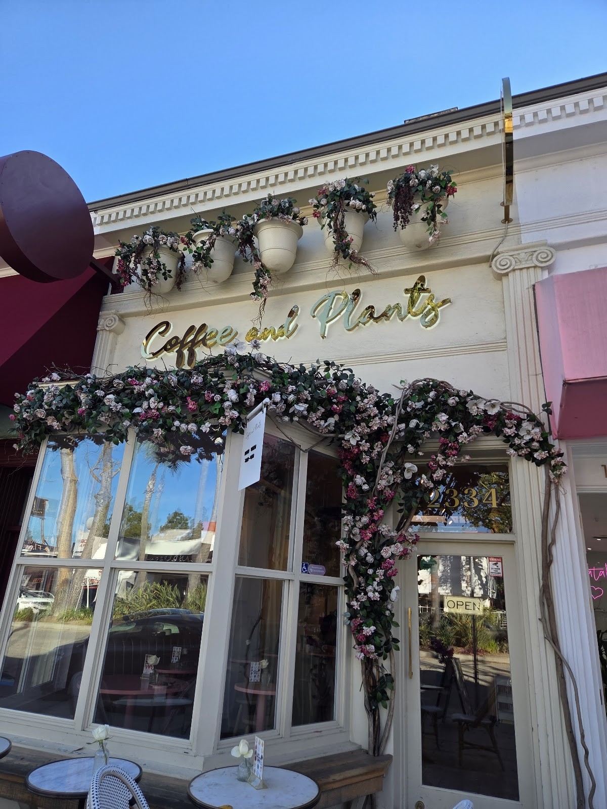 Coffee and Plants: the place