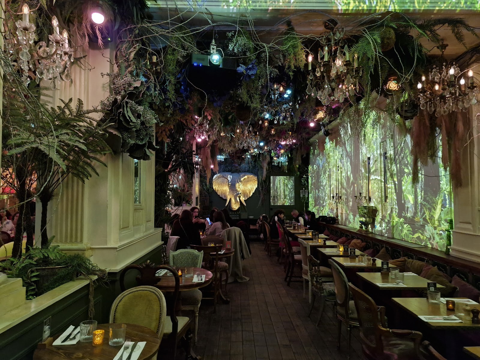 Jungle Palace: the place