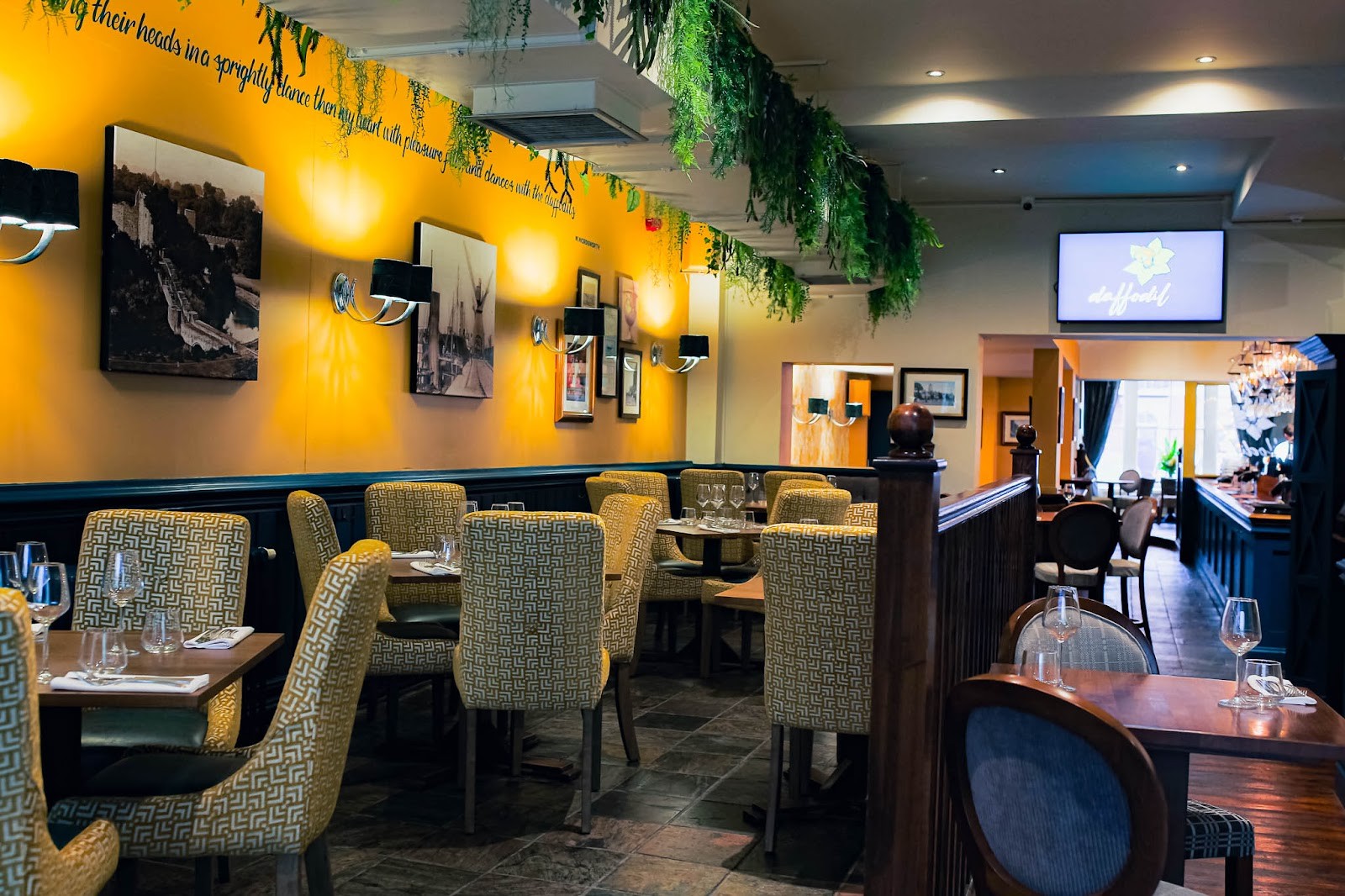 Daffodil: the place