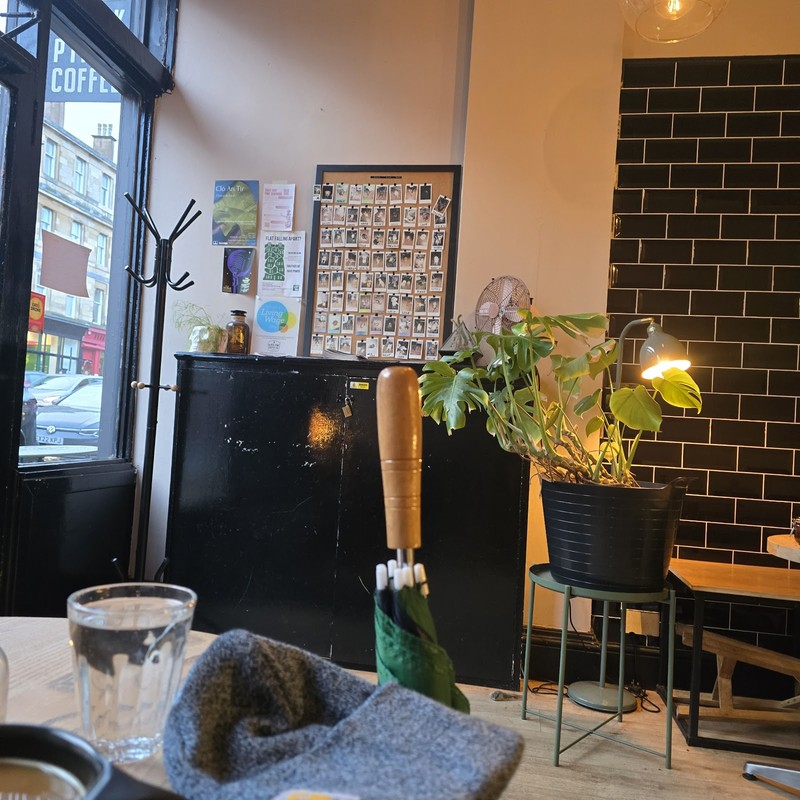 Black Pine Coffee Co.: photo 4