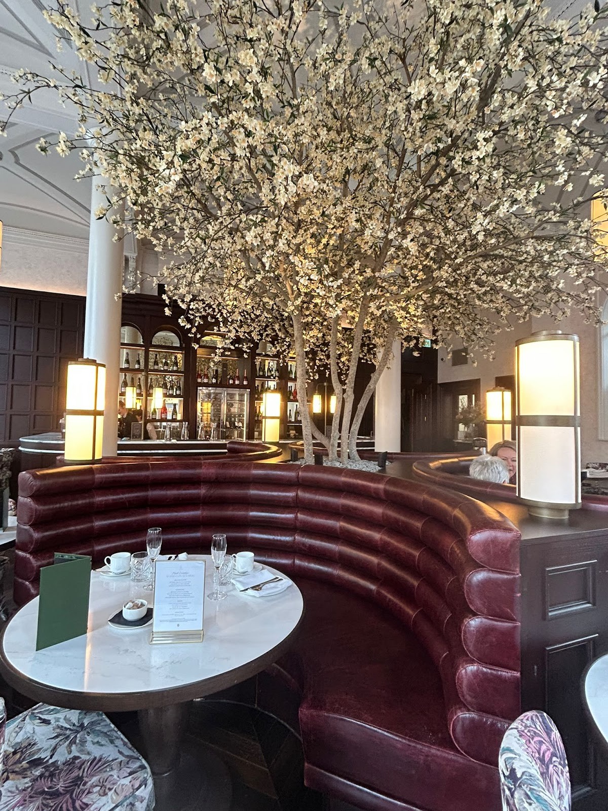 The Botanic Tearoom: the place