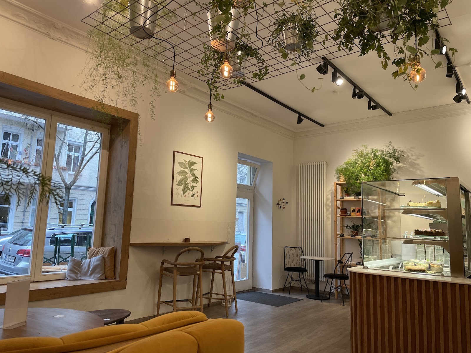 Coffea: the place