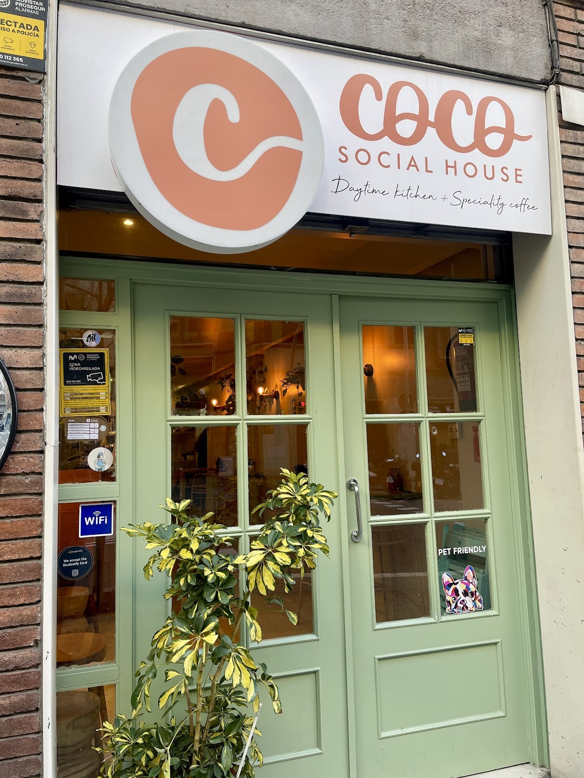 Coco Social House | Gràcia: the place