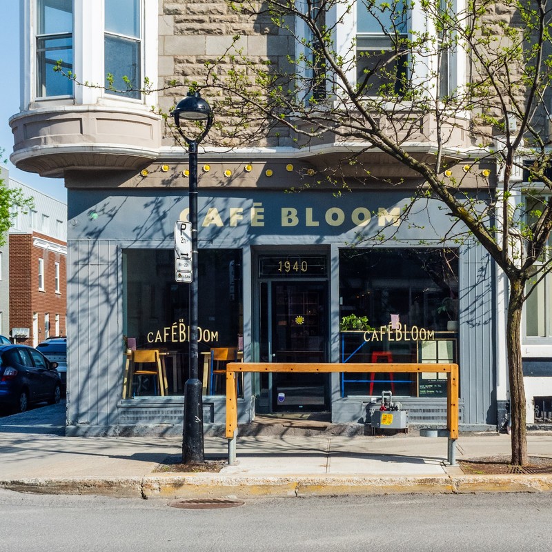 Le Café Bloom: photo 4