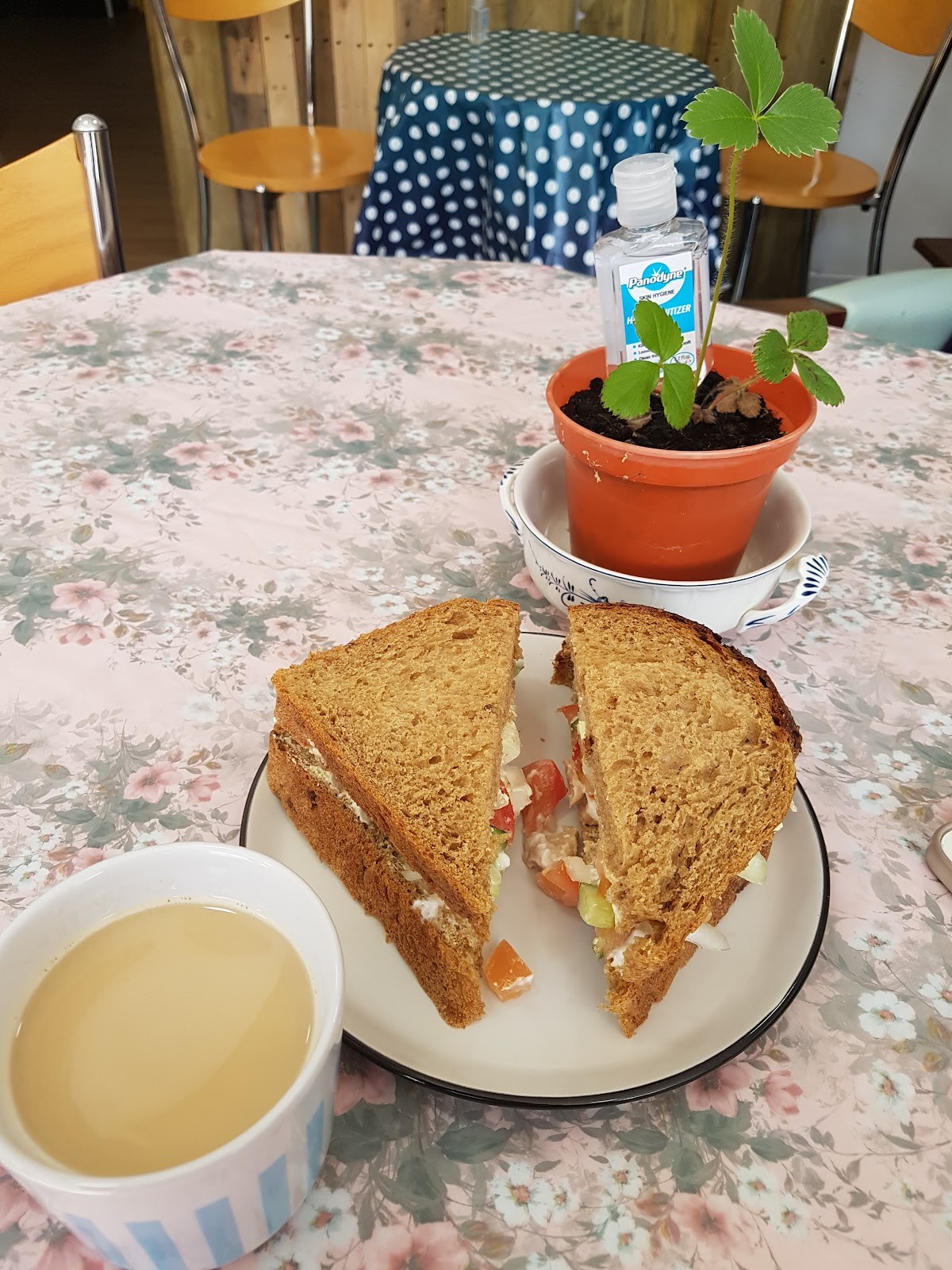 Aubergine Café: food & drinks