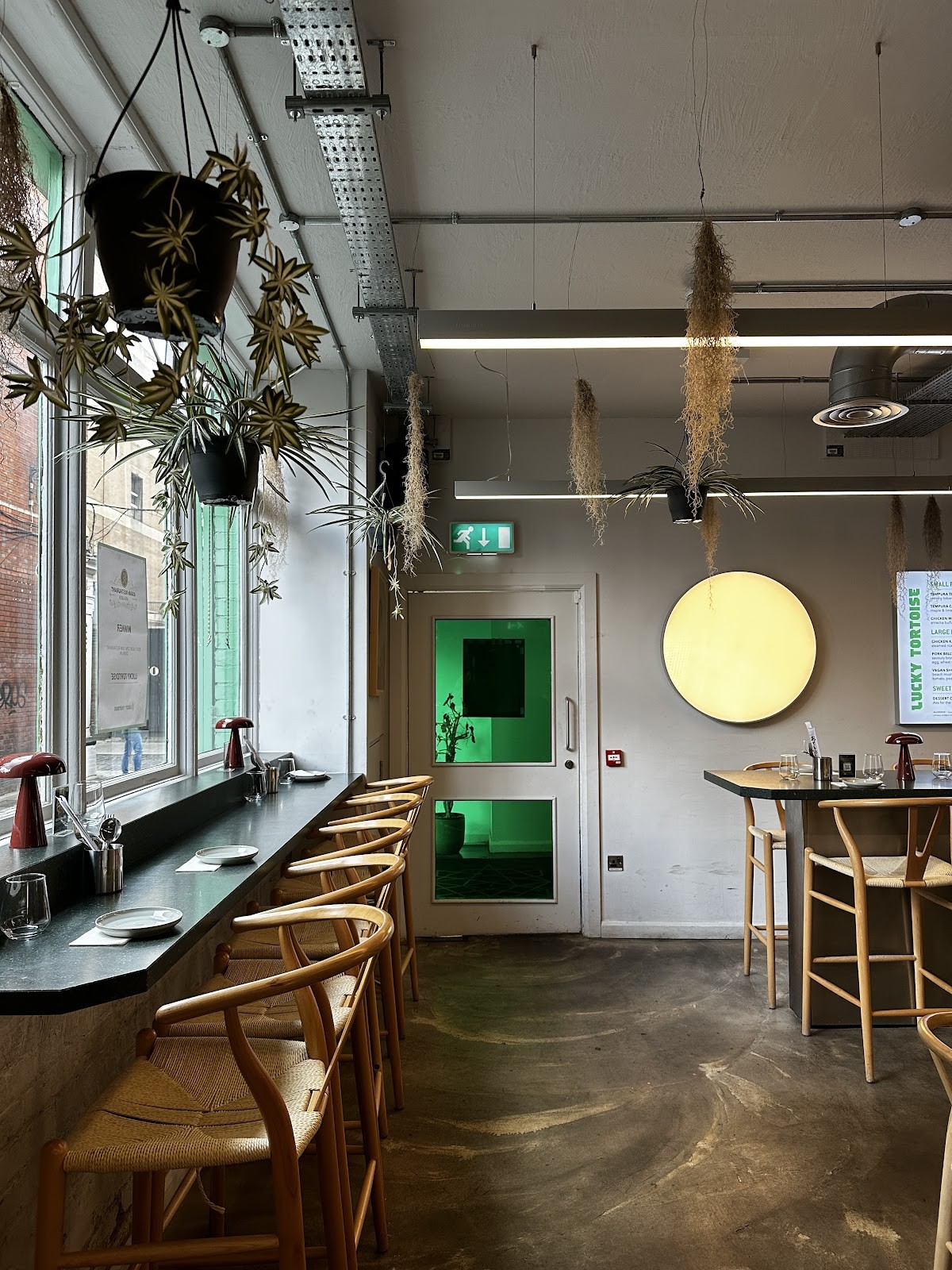 Lucky Tortoise Temple Bar - Restaurant in Dublin: the place