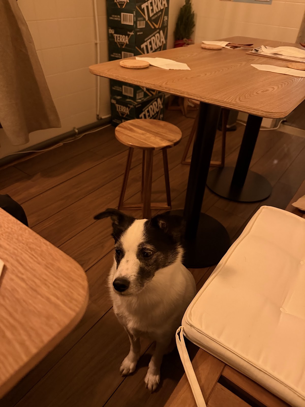 Bada: the place