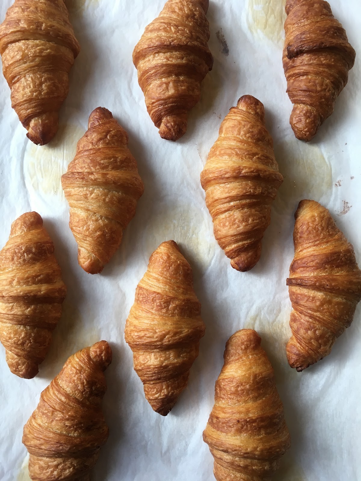 Lovely Rita's Bakehouse: food & drinks
