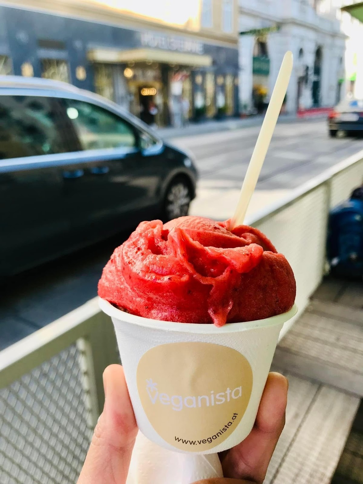 Veganista Ice Cream: food & drinks